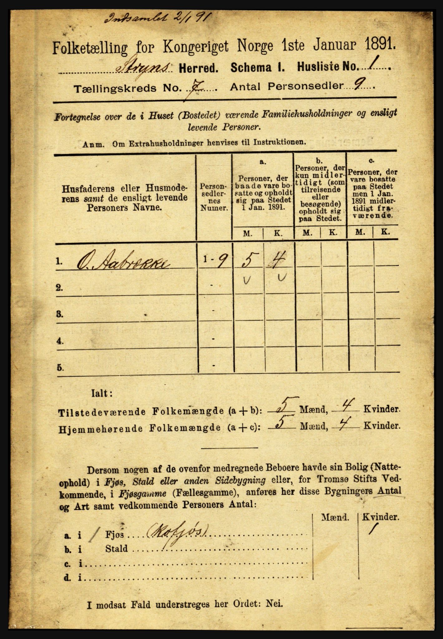 RA, 1891 census for 1448 Stryn, 1891, p. 2773