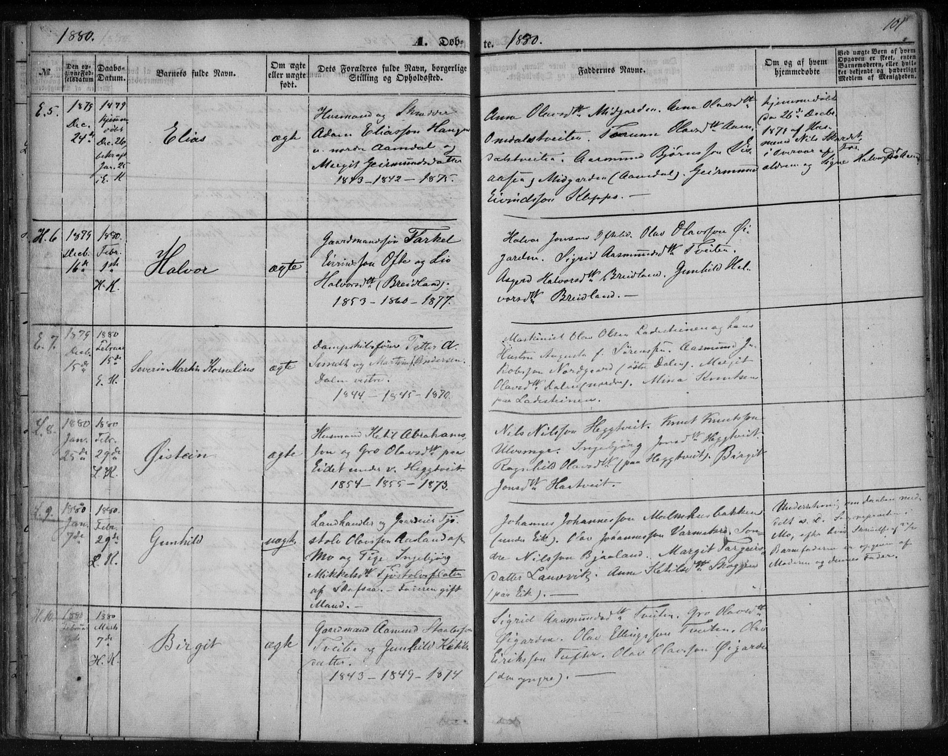 Lårdal kirkebøker, SAKO/A-284/F/Fa/L0006: Parish register (official) no. I 6, 1861-1886, p. 101