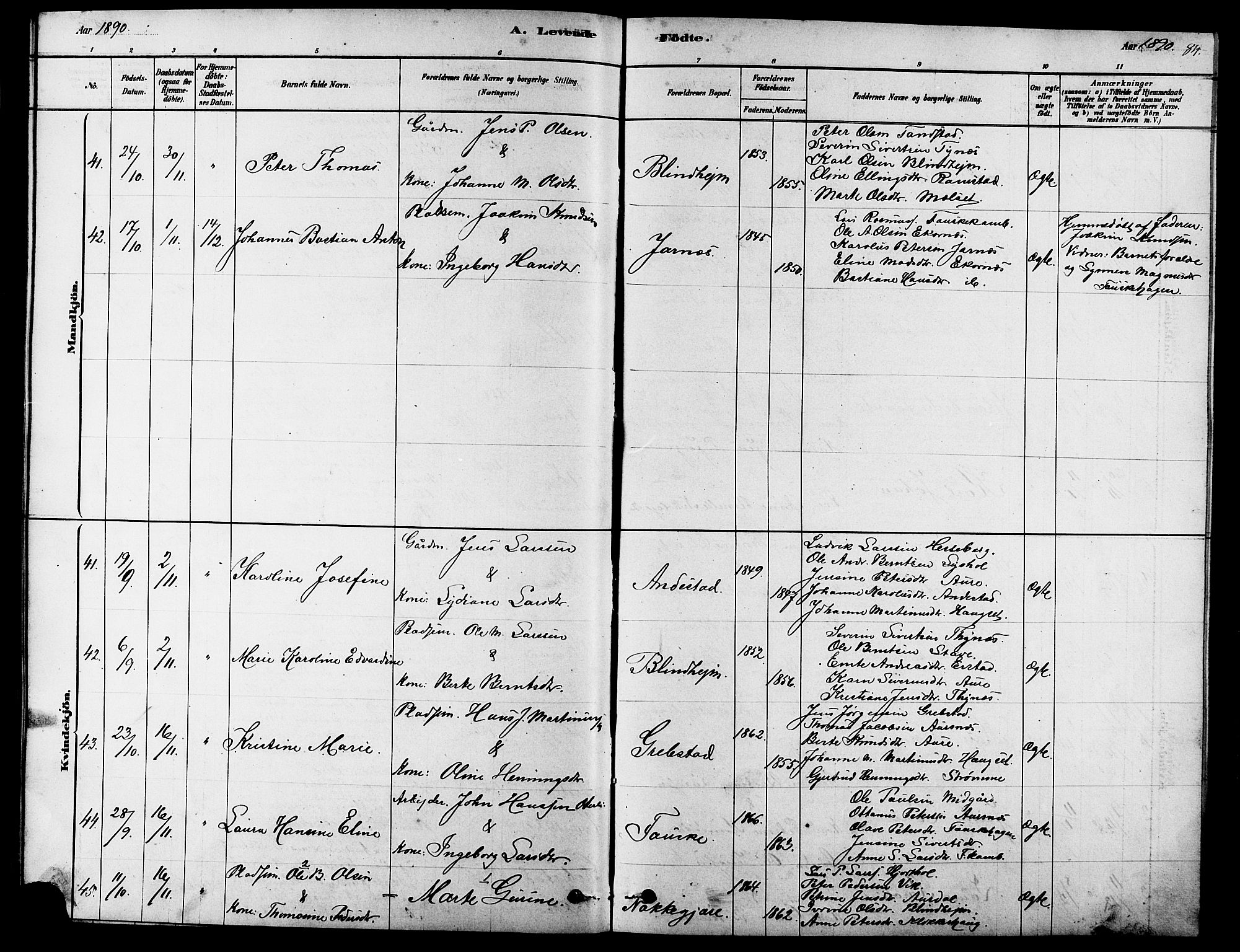 Ministerialprotokoller, klokkerbøker og fødselsregistre - Møre og Romsdal, SAT/A-1454/523/L0339: Parish register (copy) no. 523C02, 1878-1891, p. 84