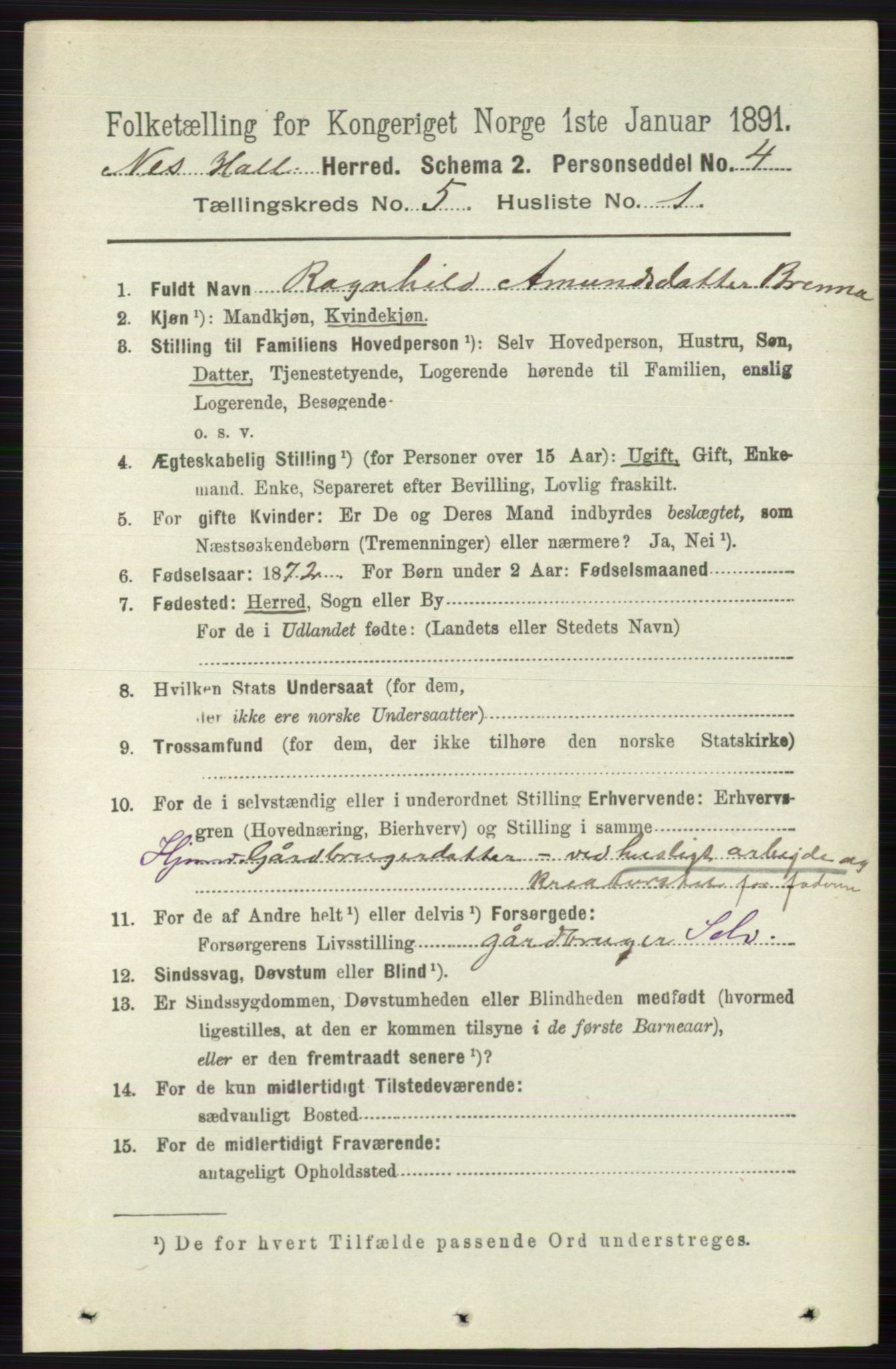 RA, 1891 census for 0616 Nes, 1891, p. 2639