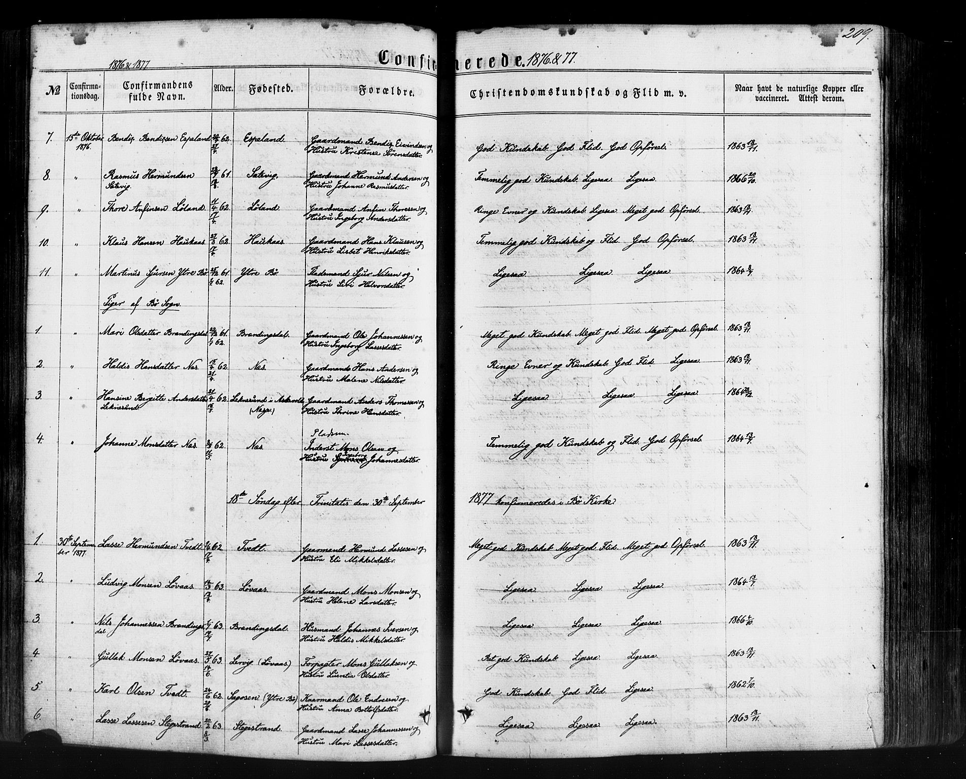Hyllestad sokneprestembete, SAB/A-80401: Parish register (official) no. A 1, 1861-1886, p. 209