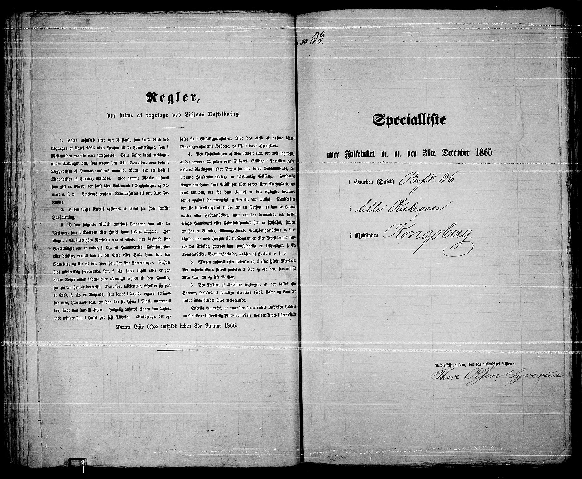 RA, 1865 census for Kongsberg/Kongsberg, 1865, p. 75