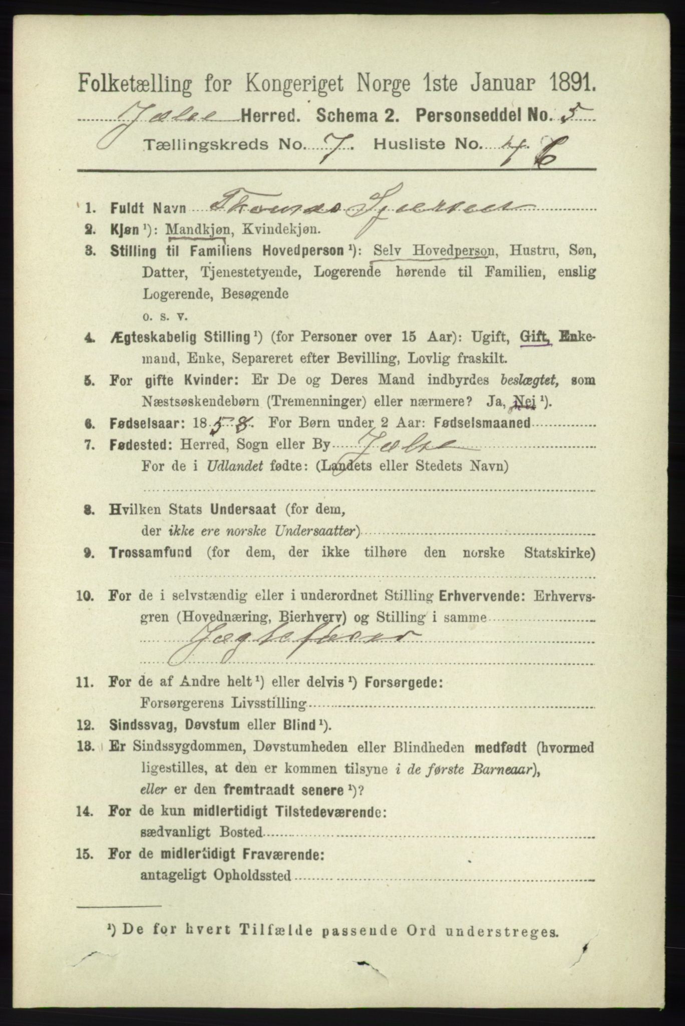 RA, 1891 census for 1138 Jelsa, 1891, p. 1752