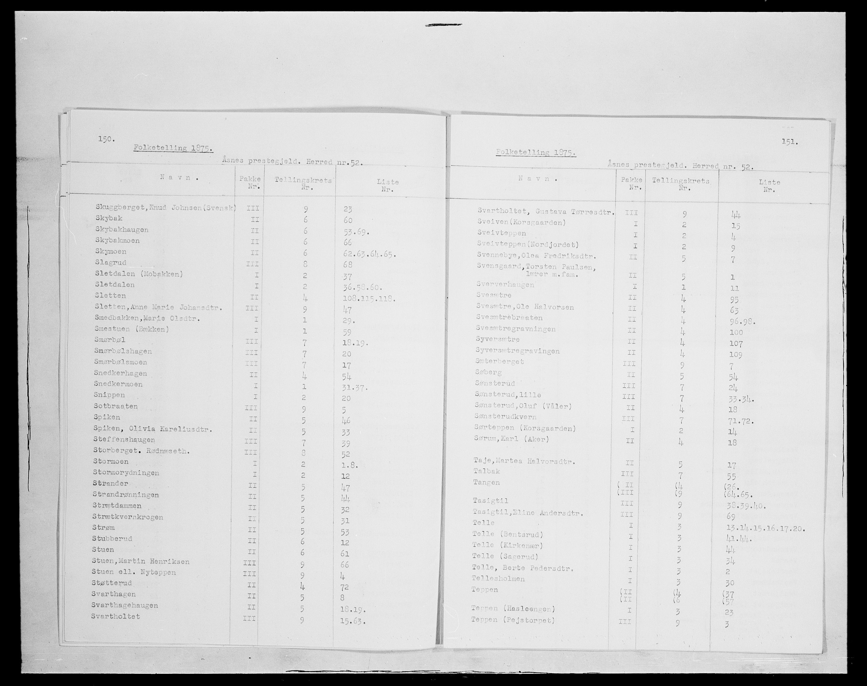 SAH, 1875 census for 0425P Åsnes, 1875, p. 9