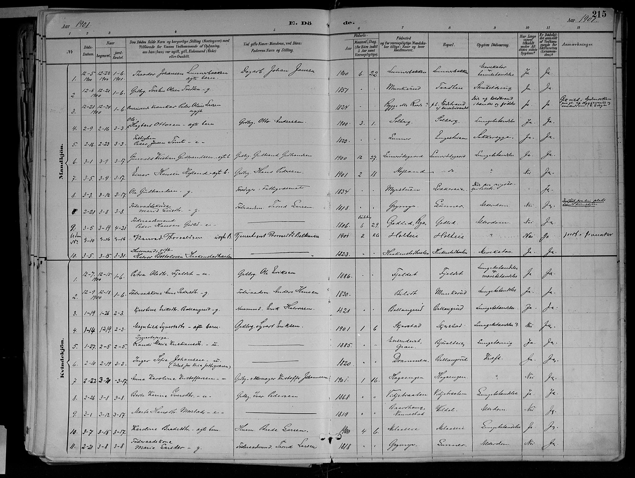Jevnaker prestekontor, SAH/PREST-116/H/Ha/Haa/L0010: Parish register (official) no. 10, 1891-1906, p. 215