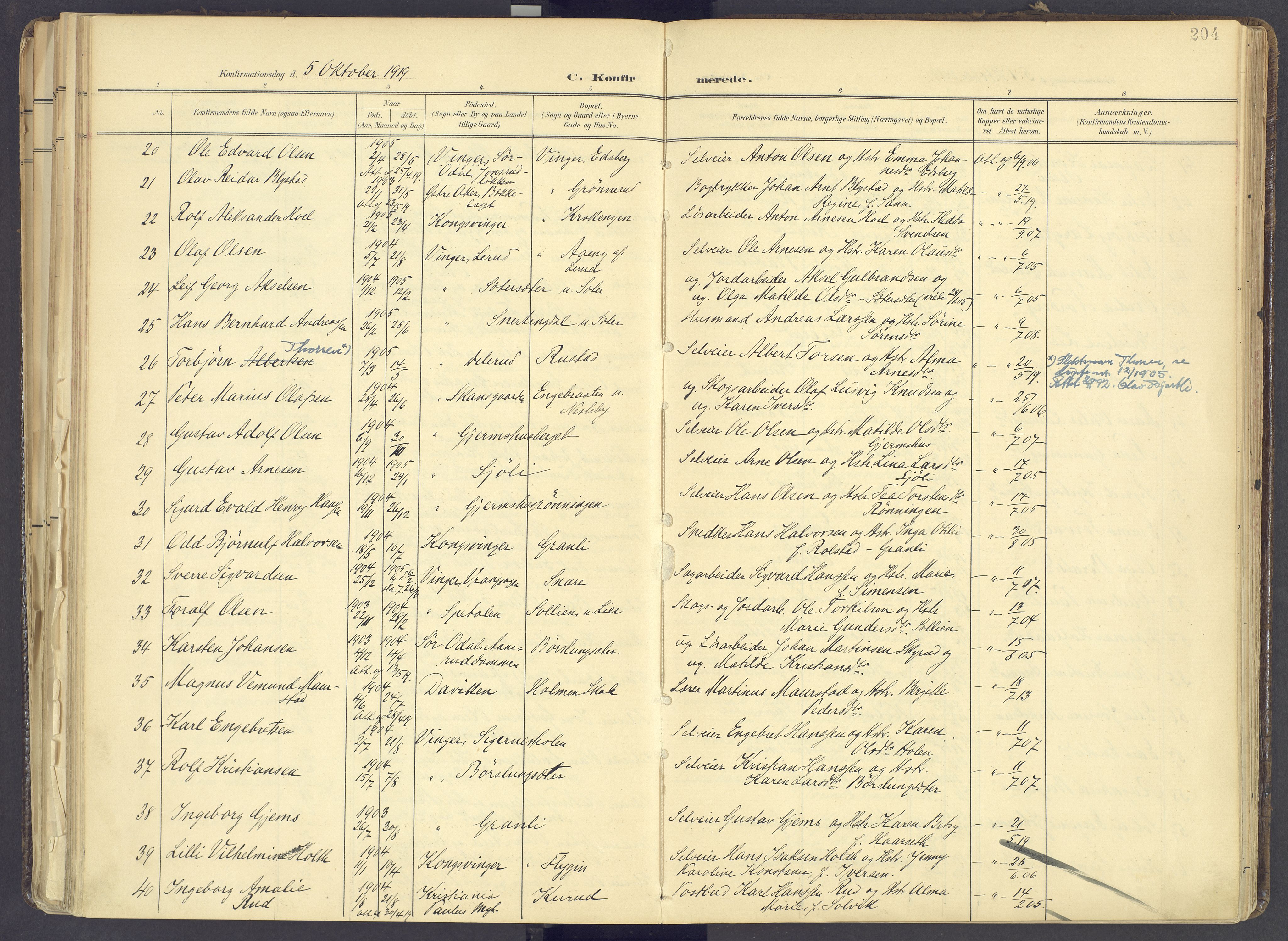 Vinger prestekontor, AV/SAH-PREST-024/H/Ha/Haa/L0017: Parish register (official) no. 17, 1901-1927, p. 204