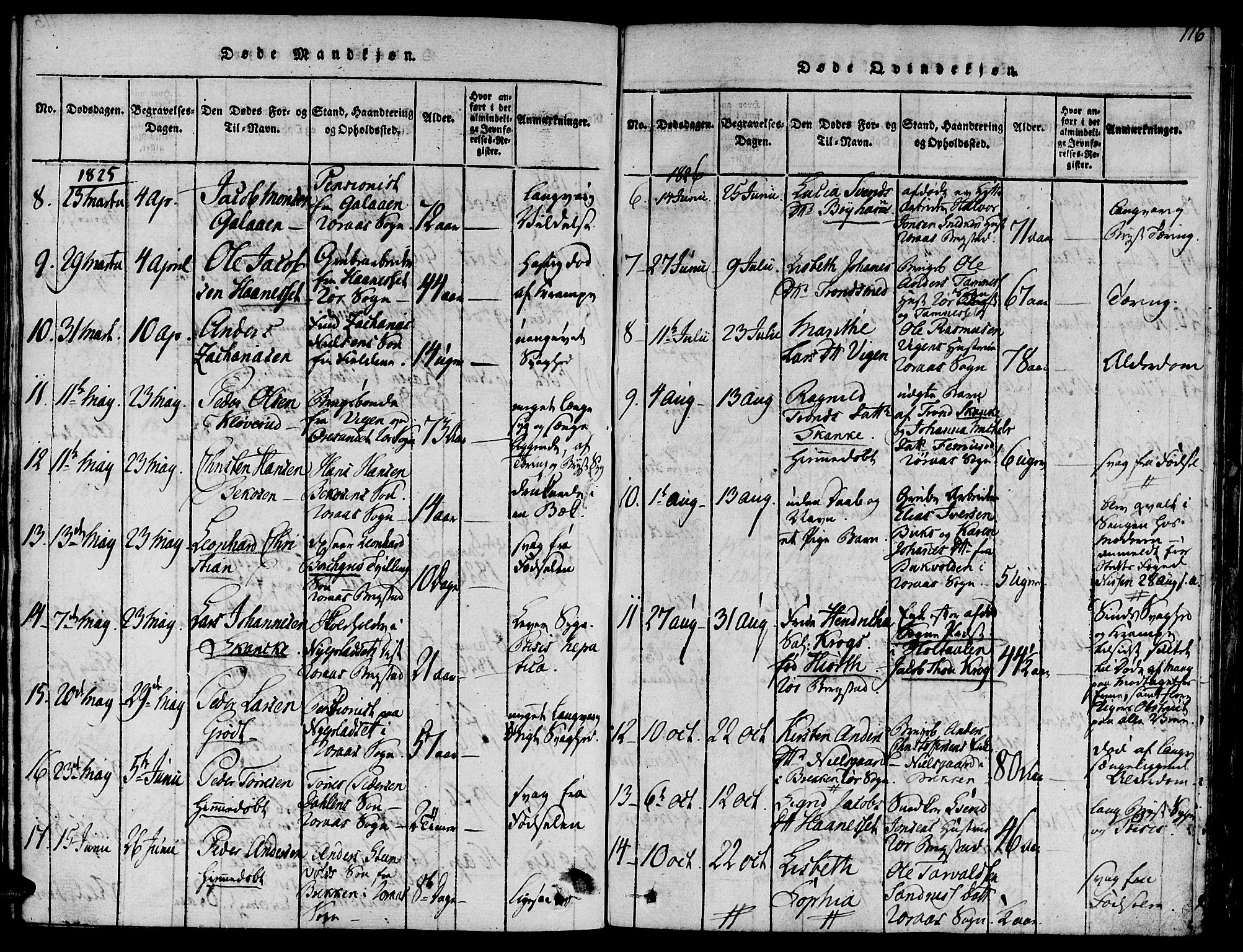 Ministerialprotokoller, klokkerbøker og fødselsregistre - Sør-Trøndelag, AV/SAT-A-1456/681/L0929: Parish register (official) no. 681A07, 1817-1828, p. 116