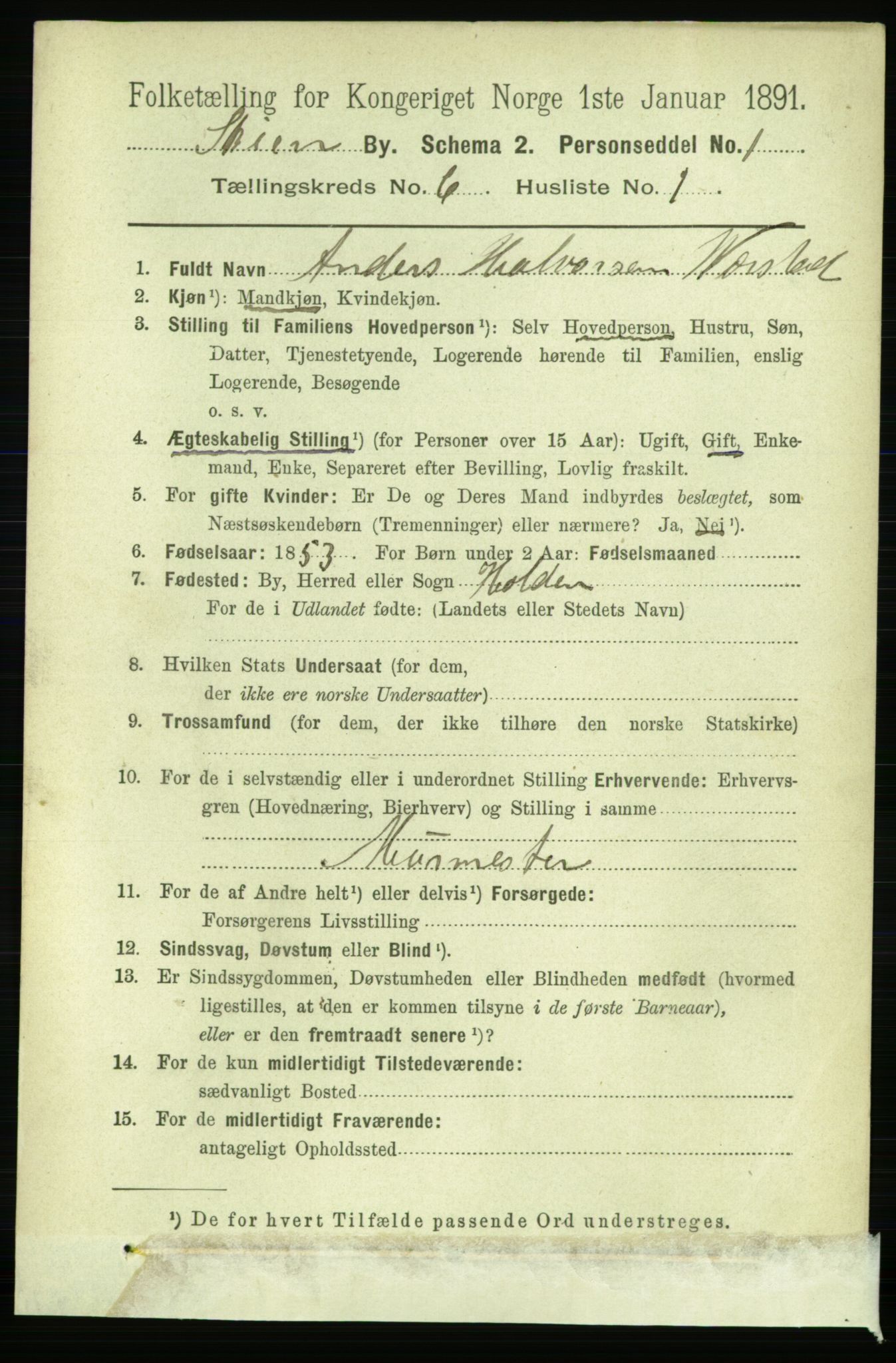 RA, 1891 census for 0806 Skien, 1891, p. 2994