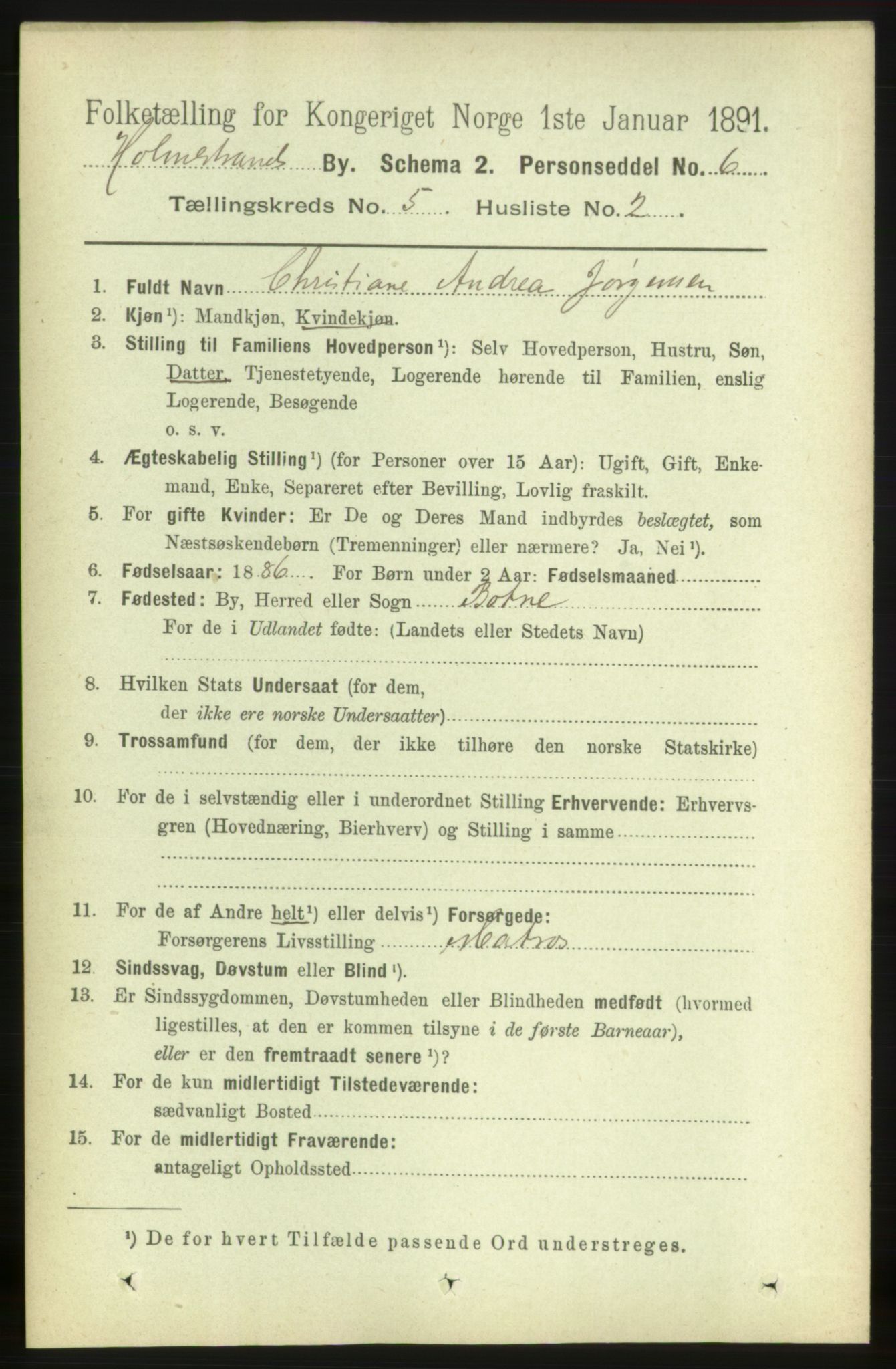 RA, 1891 census for 0702 Holmestrand, 1891, p. 2658