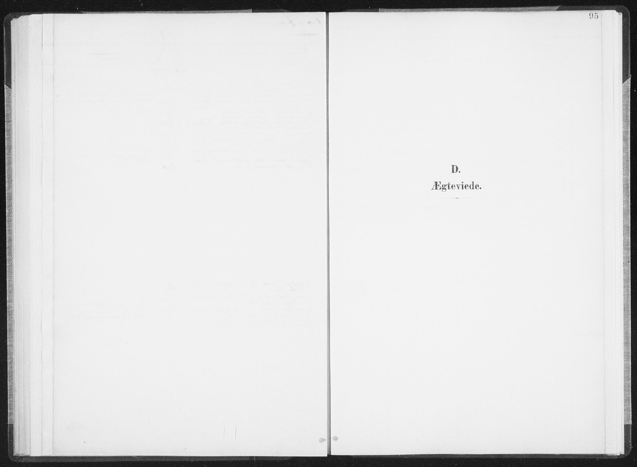 Ministerialprotokoller, klokkerbøker og fødselsregistre - Nordland, SAT/A-1459/810/L0153: Parish register (official) no. 810A12, 1899-1914, p. 95