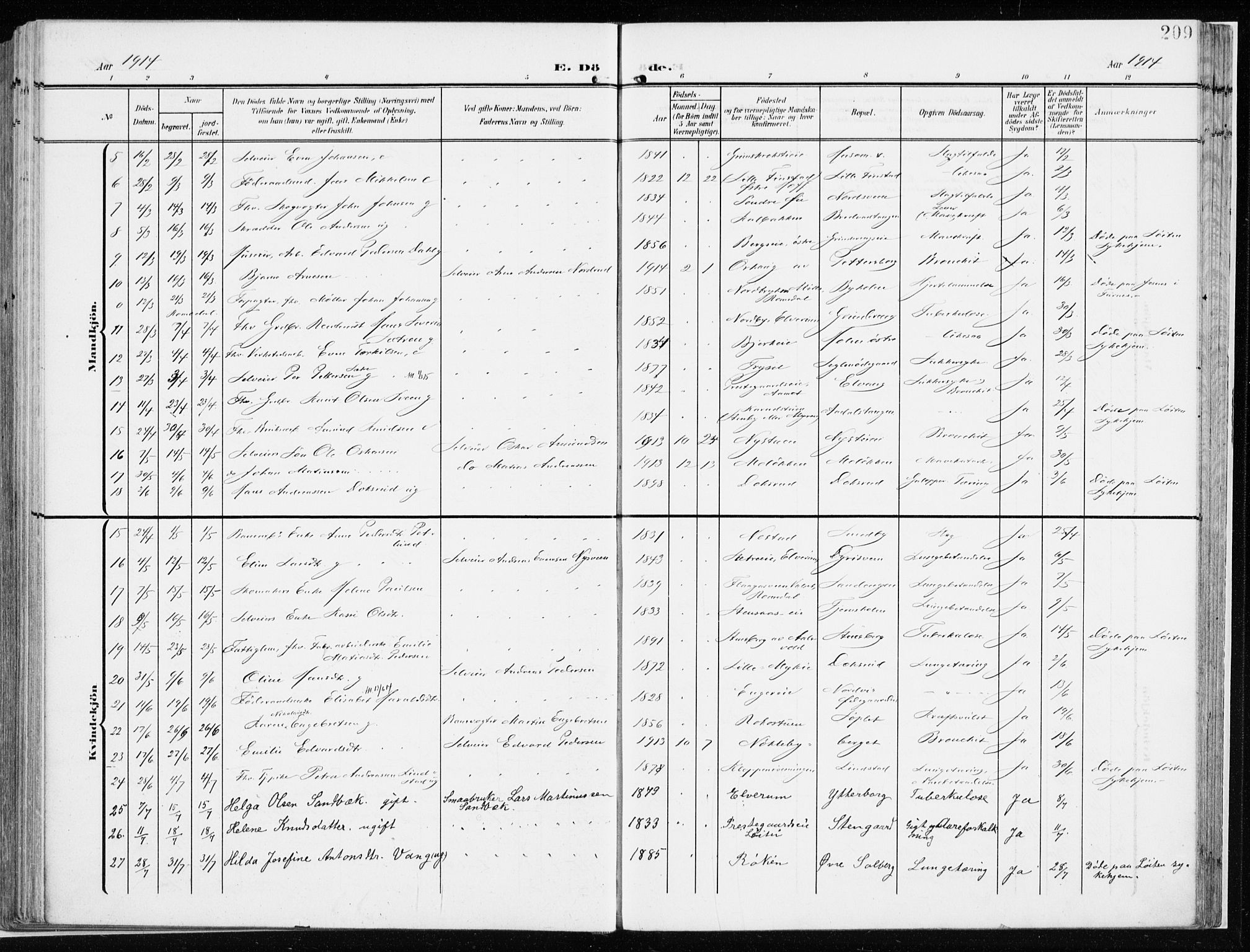 Løten prestekontor, AV/SAH-PREST-022/K/Ka/L0011: Parish register (official) no. 11, 1908-1917, p. 209