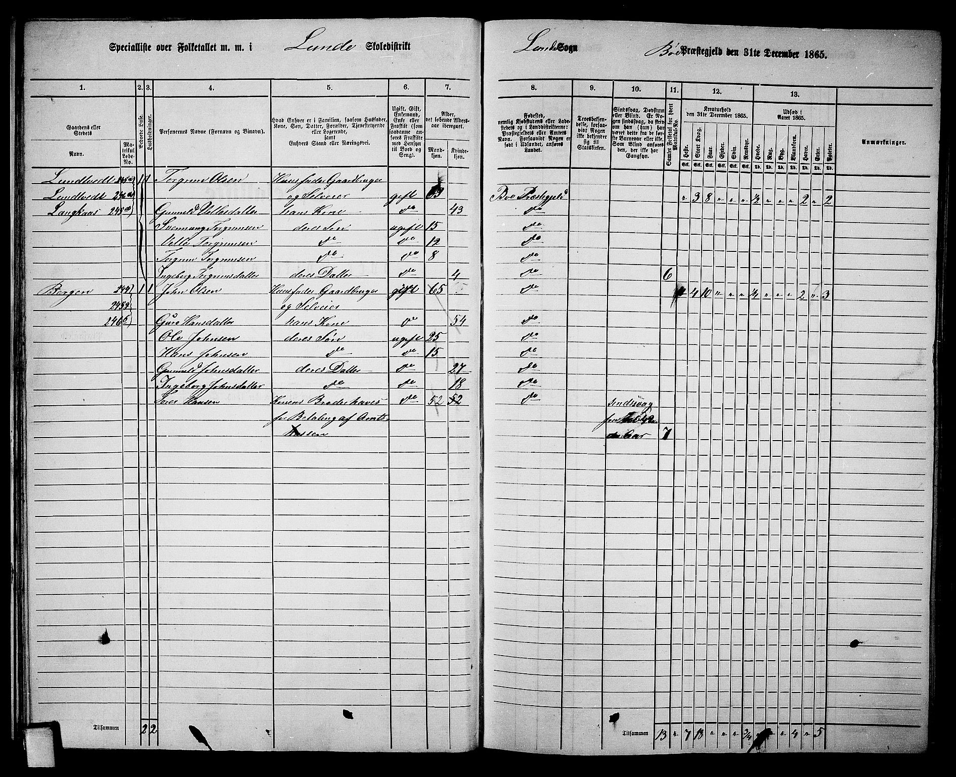 RA, 1865 census for Bø, 1865, p. 30