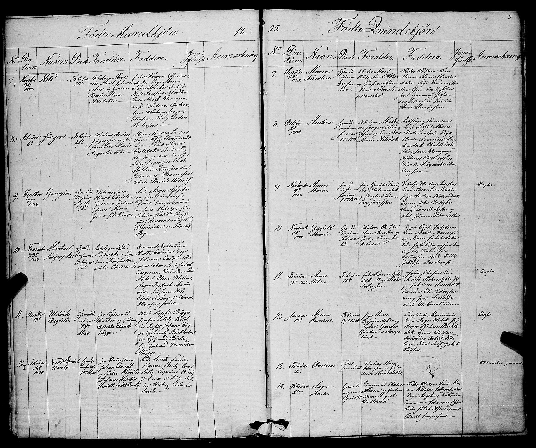 Larvik kirkebøker, SAKO/A-352/F/Fa/L0002: Parish register (official) no. I 2, 1825-1847, p. 3