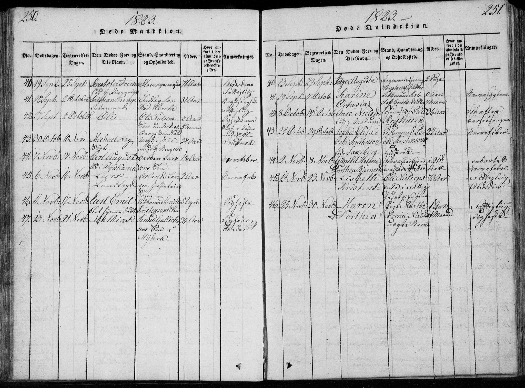 Bragernes kirkebøker, AV/SAKO-A-6/F/Fa/L0007: Parish register (official) no. I 7, 1815-1829, p. 250-251