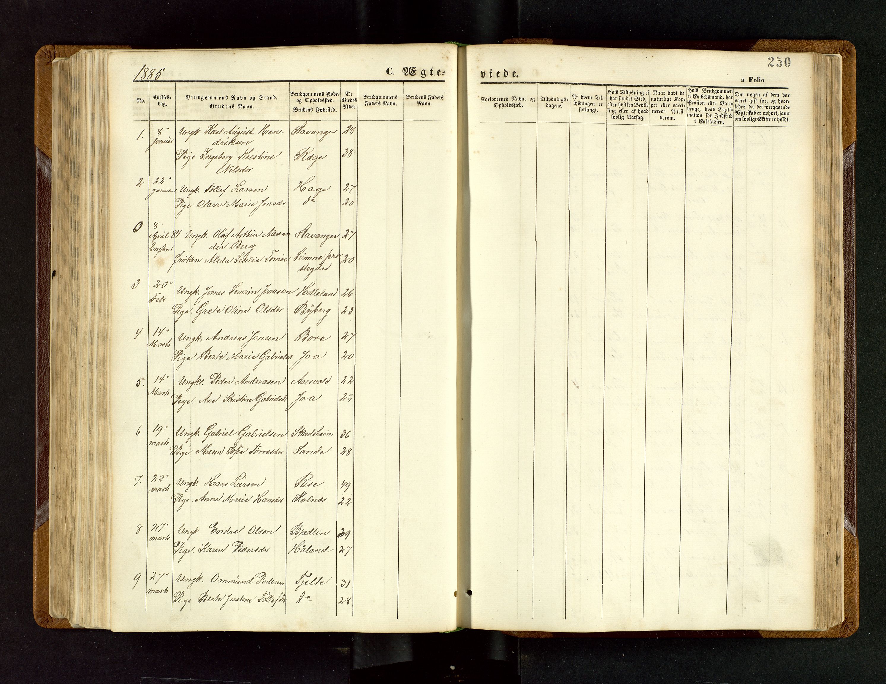 Håland sokneprestkontor, SAST/A-101802/001/30BB/L0003: Parish register (copy) no. B 3, 1873-1893, p. 250