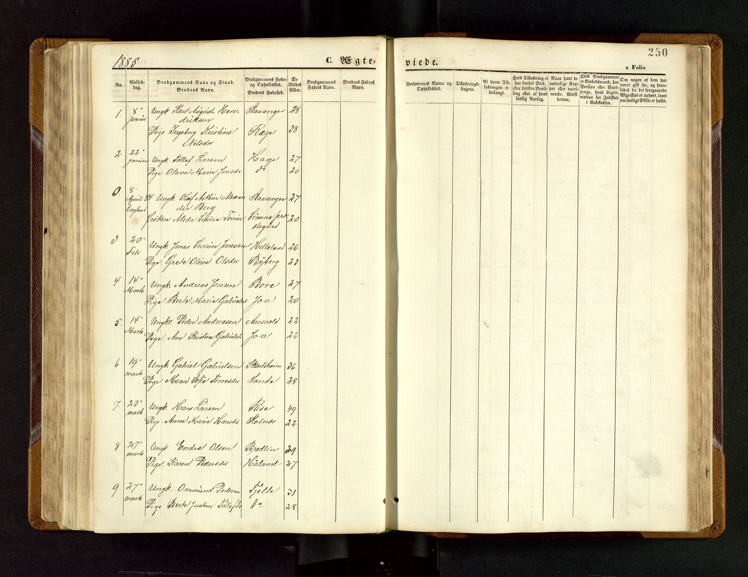 Håland sokneprestkontor, AV/SAST-A-101802/001/30BB/L0003: Parish register (copy) no. B 3, 1873-1893, p. 250