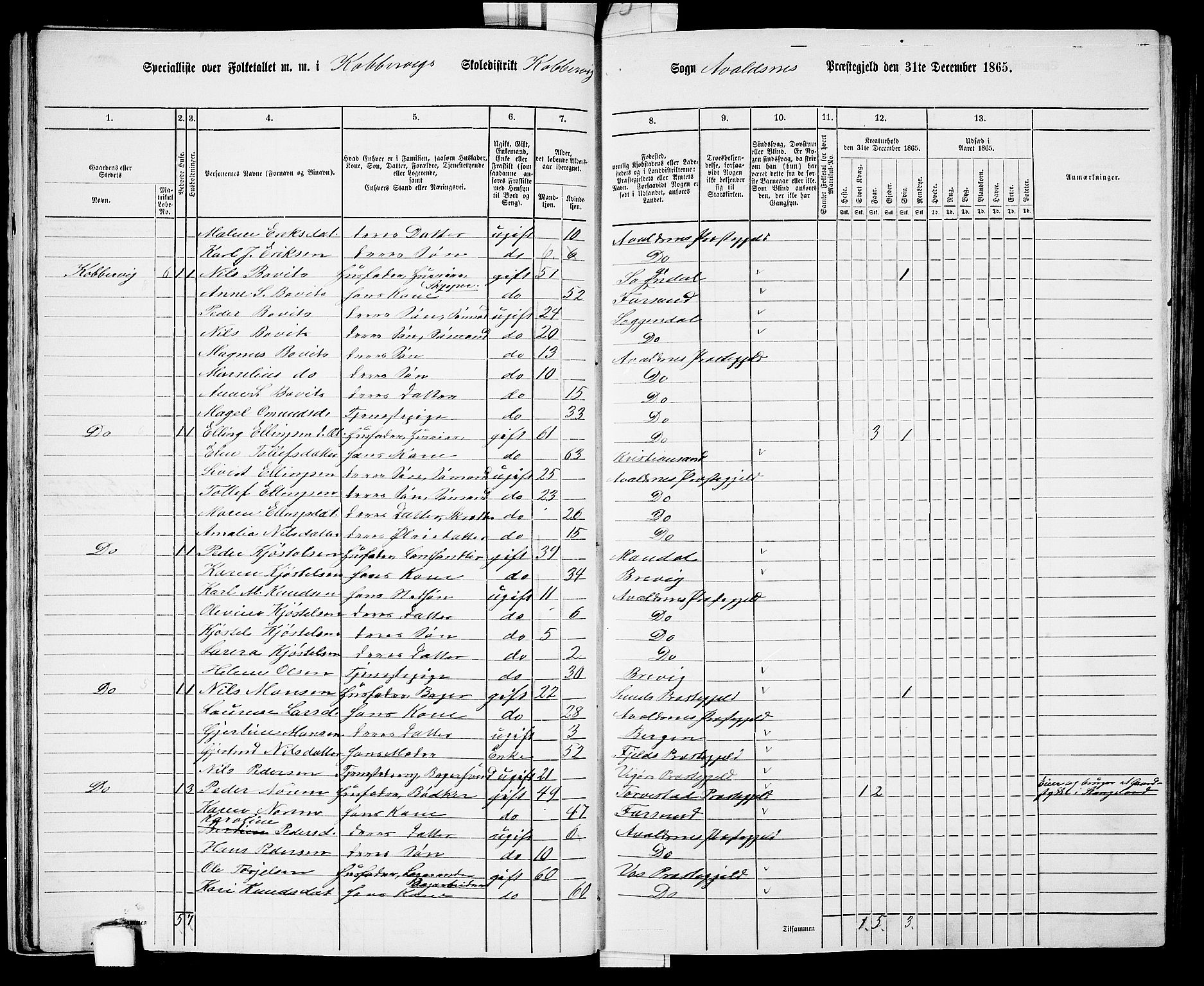 RA, 1865 census for Avaldsnes, 1865, p. 41