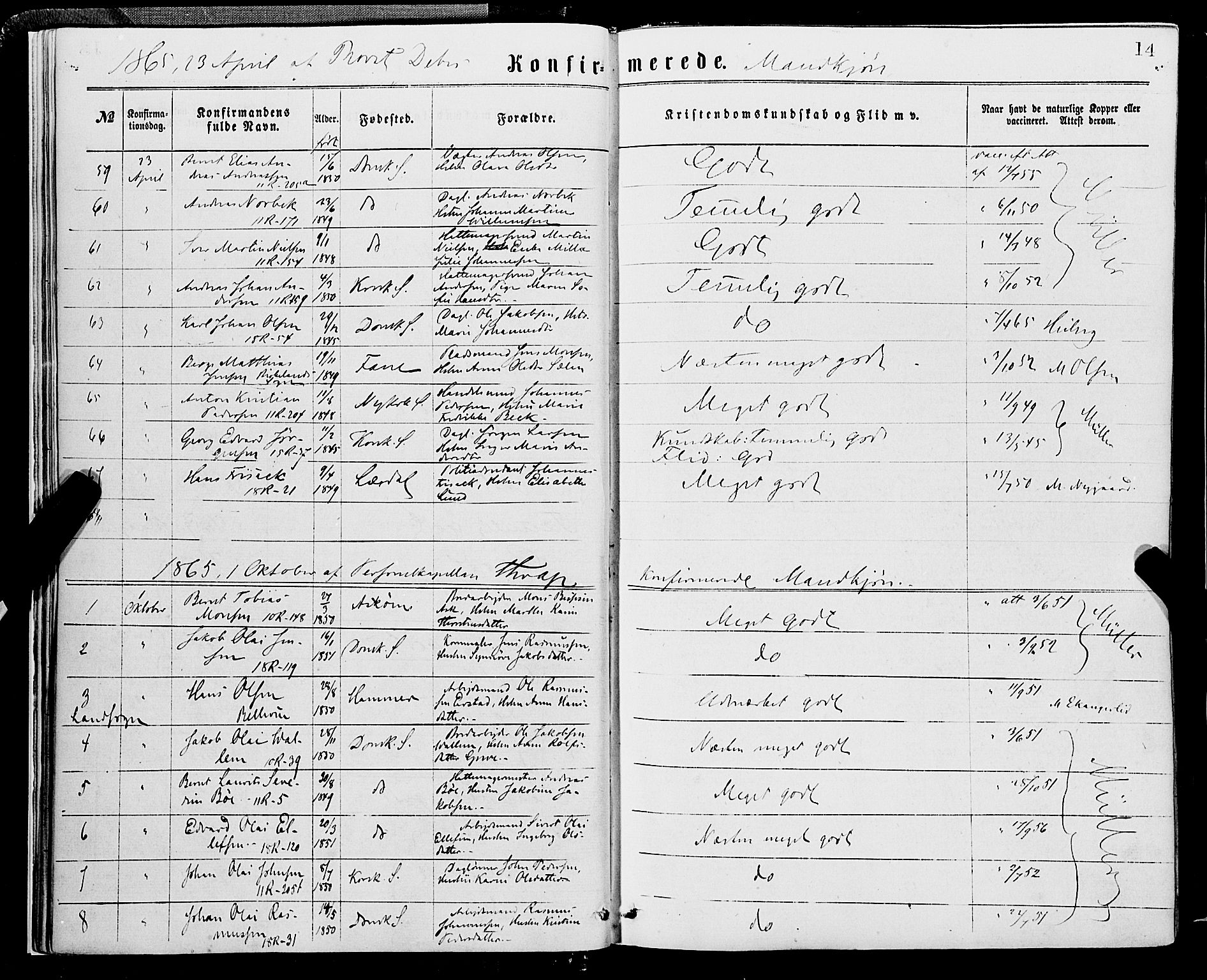 Domkirken sokneprestembete, AV/SAB-A-74801/H/Haa/L0029: Parish register (official) no. C 4, 1864-1879, p. 14