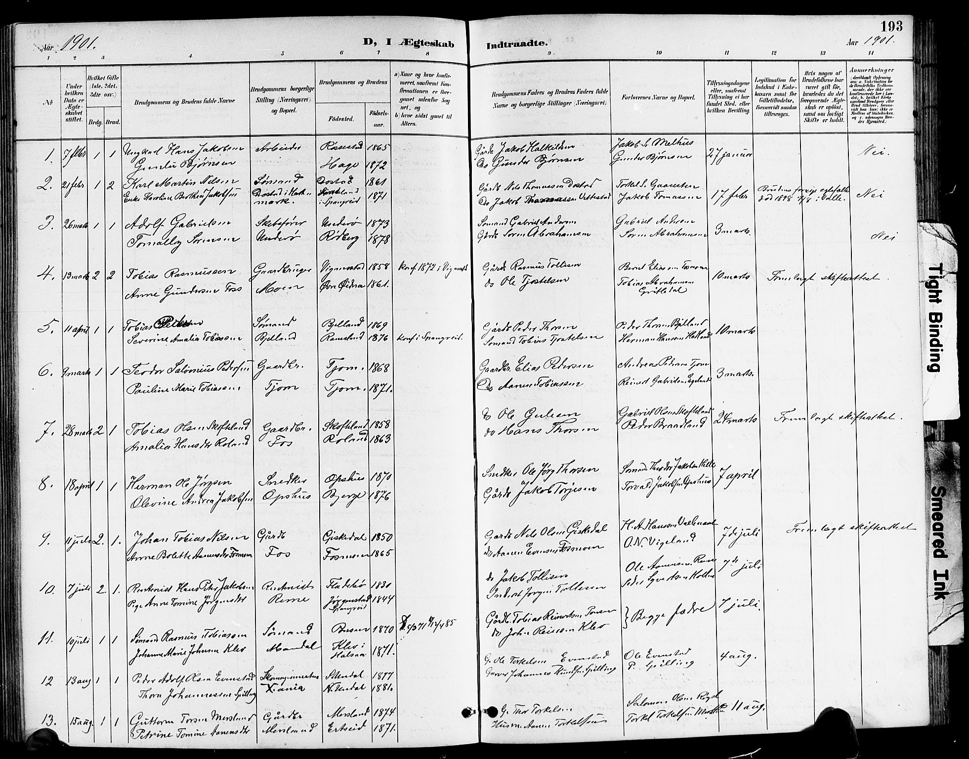 Sør-Audnedal sokneprestkontor, SAK/1111-0039/F/Fb/Fbb/L0006: Parish register (copy) no. B 6, 1893-1915, p. 193