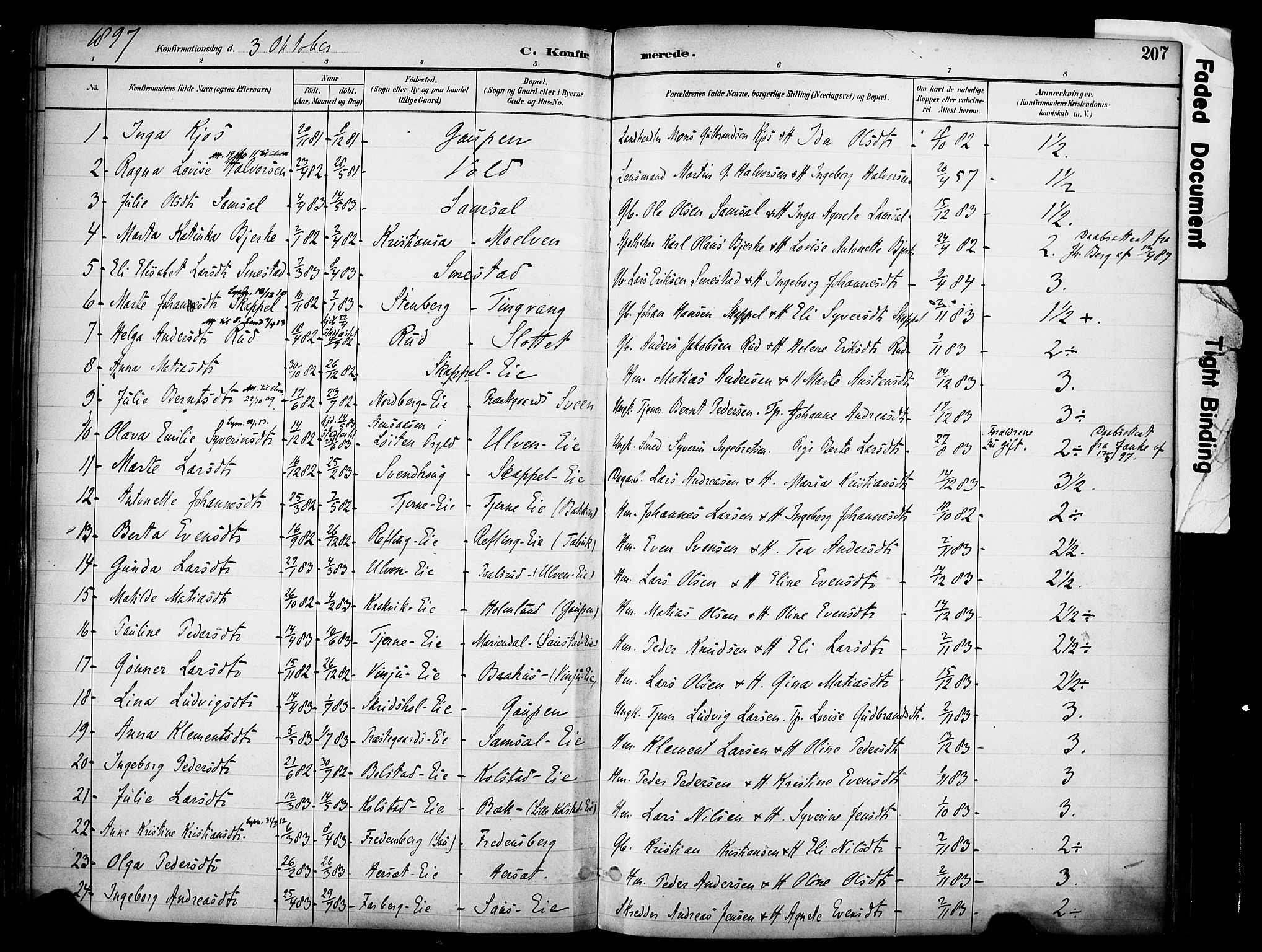 Ringsaker prestekontor, AV/SAH-PREST-014/K/Ka/L0017: Parish register (official) no. 17, 1891-1902, p. 207