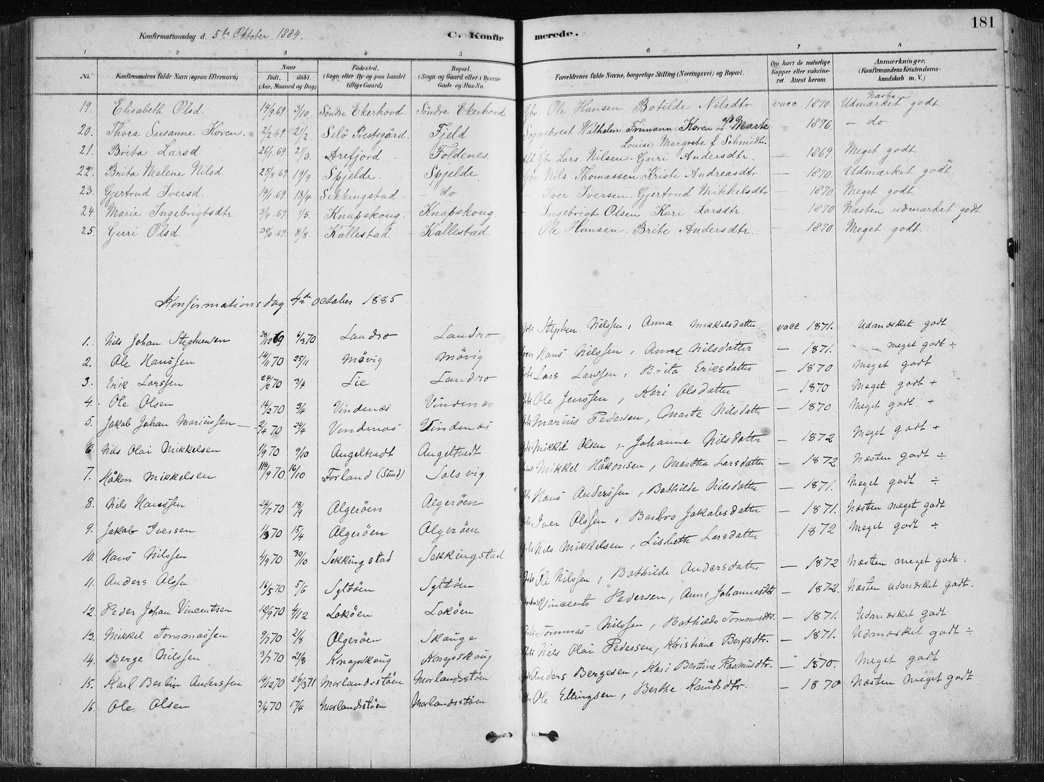 Fjell sokneprestembete, SAB/A-75301/H/Haa: Parish register (official) no. A  8, 1878-1898, p. 181