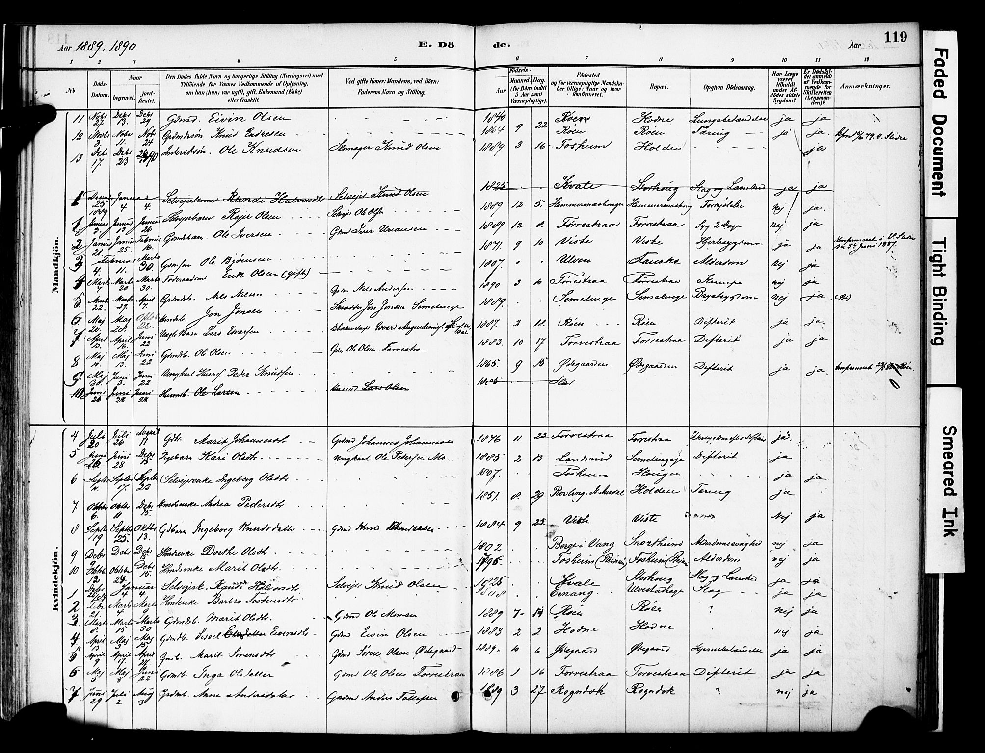 Vestre Slidre prestekontor, AV/SAH-PREST-136/H/Ha/Haa/L0006: Parish register (official) no. 6, 1881-1912, p. 119