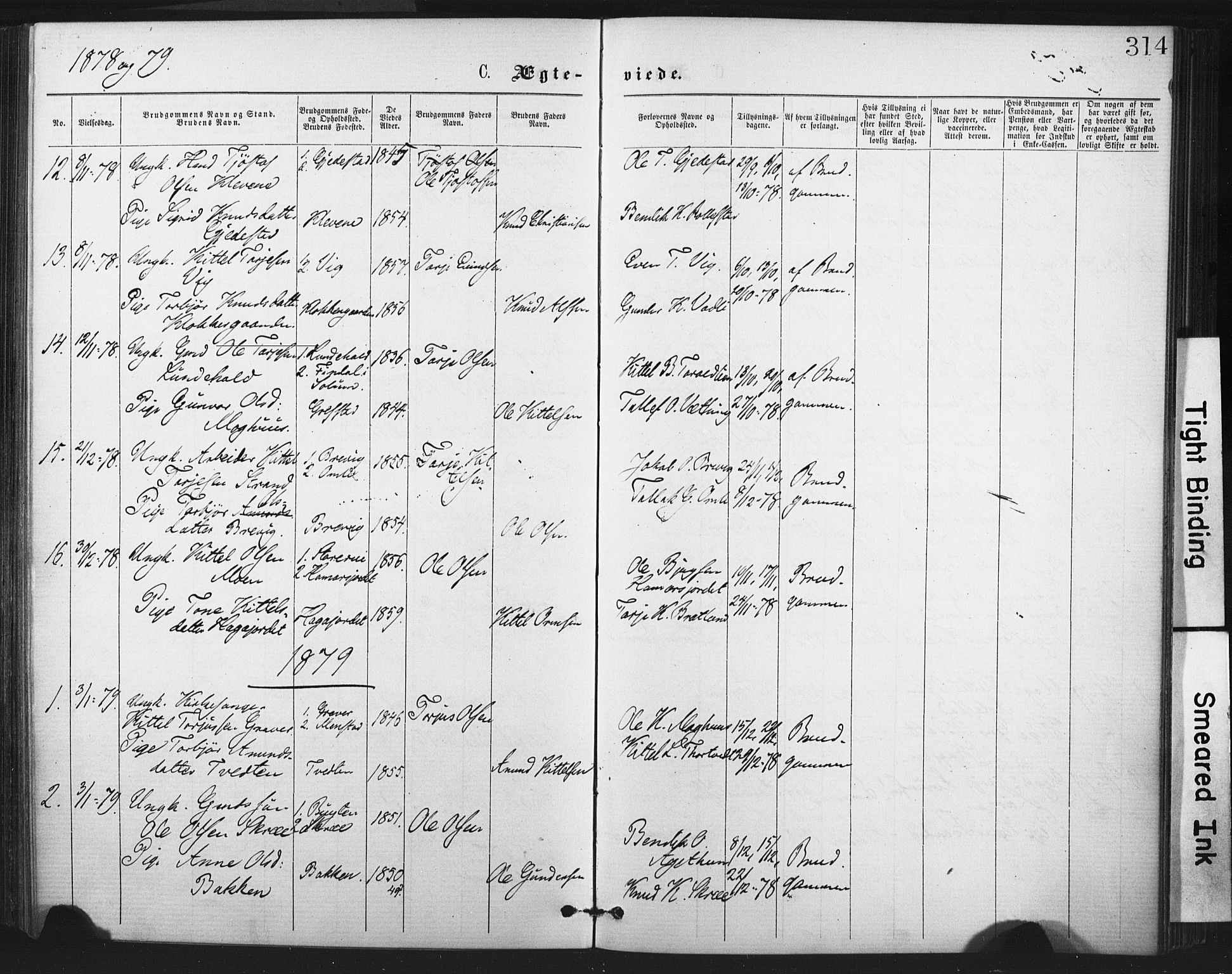 Fyresdal kirkebøker, SAKO/A-263/F/Fa/L0006: Parish register (official) no. I 6, 1872-1886, p. 314