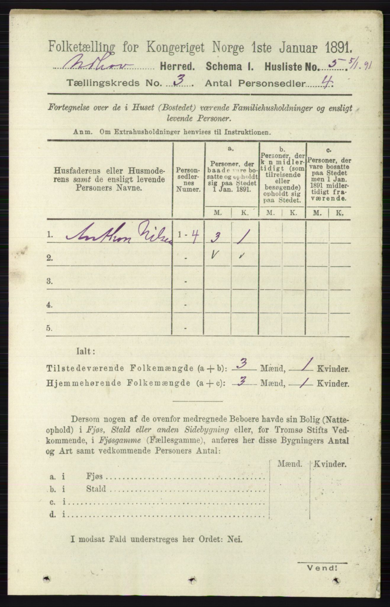 RA, 1891 census for 0613 Norderhov, 1891, p. 1160