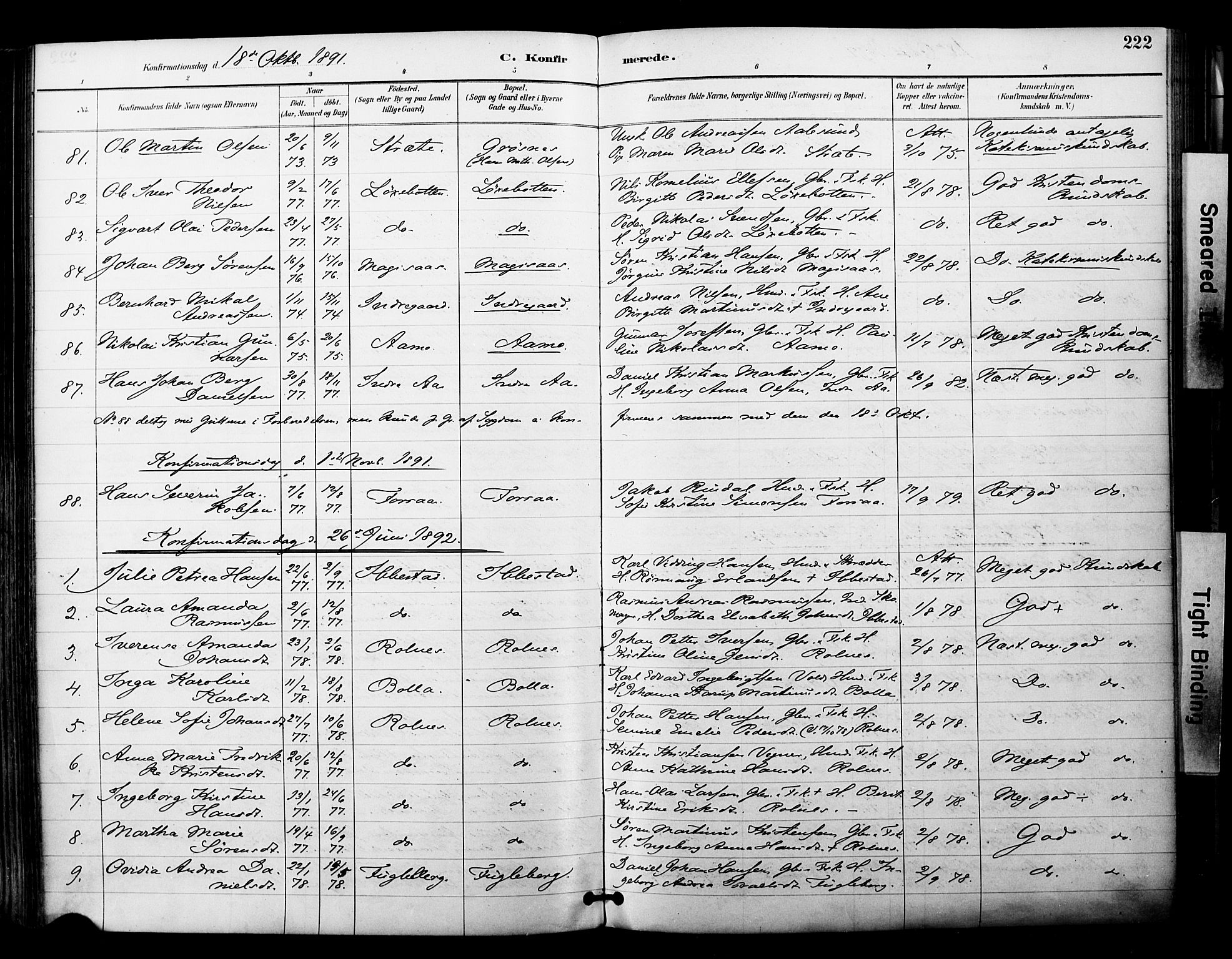 Ibestad sokneprestembete, SATØ/S-0077/H/Ha/Haa/L0012kirke: Parish register (official) no. 12, 1890-1900, p. 222