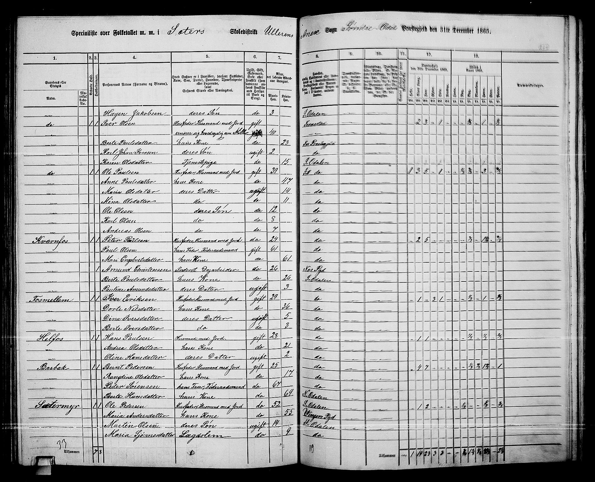 RA, 1865 census for Sør-Odal, 1865, p. 234