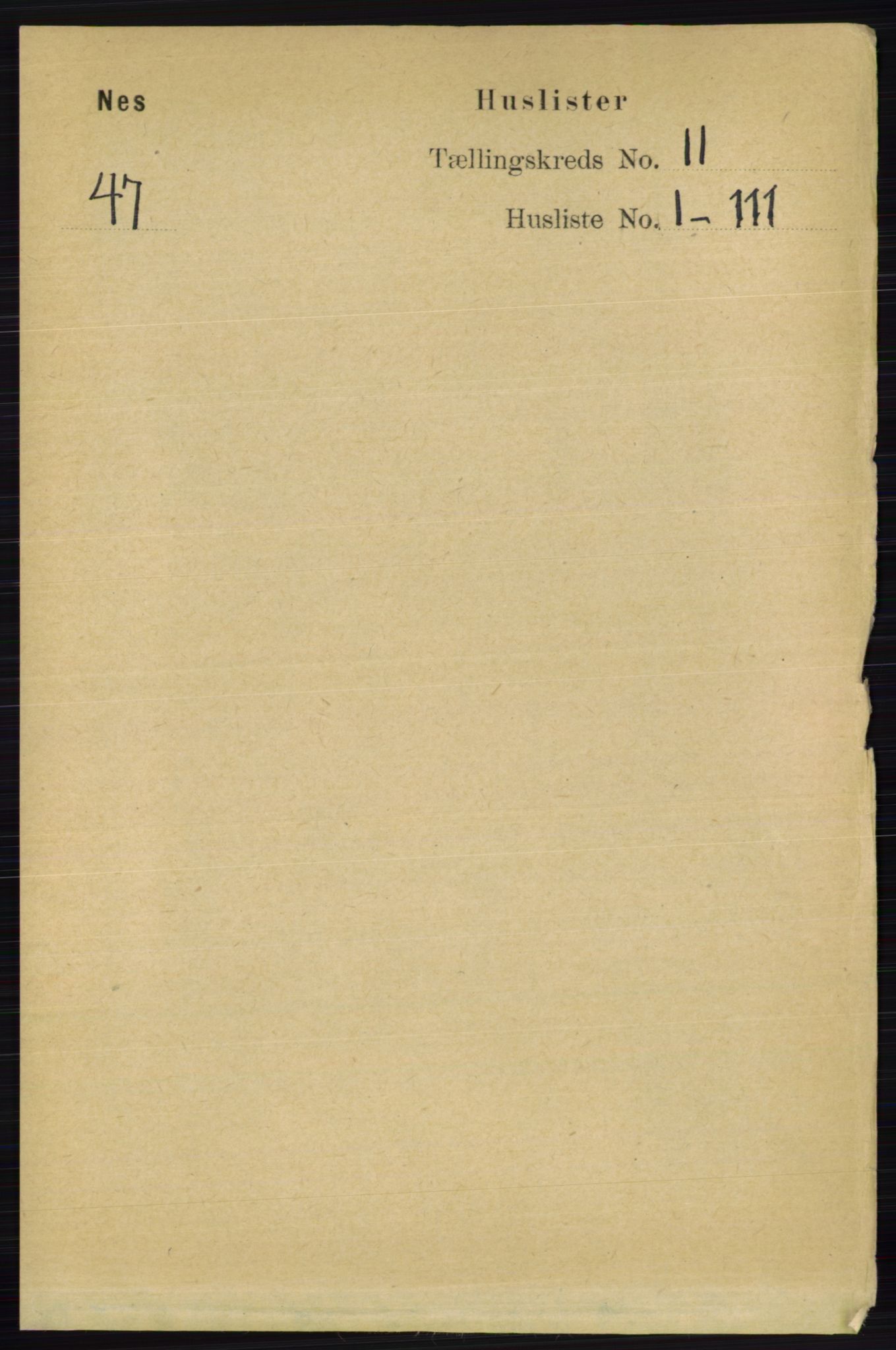 RA, 1891 census for 0236 Nes, 1891, p. 6237