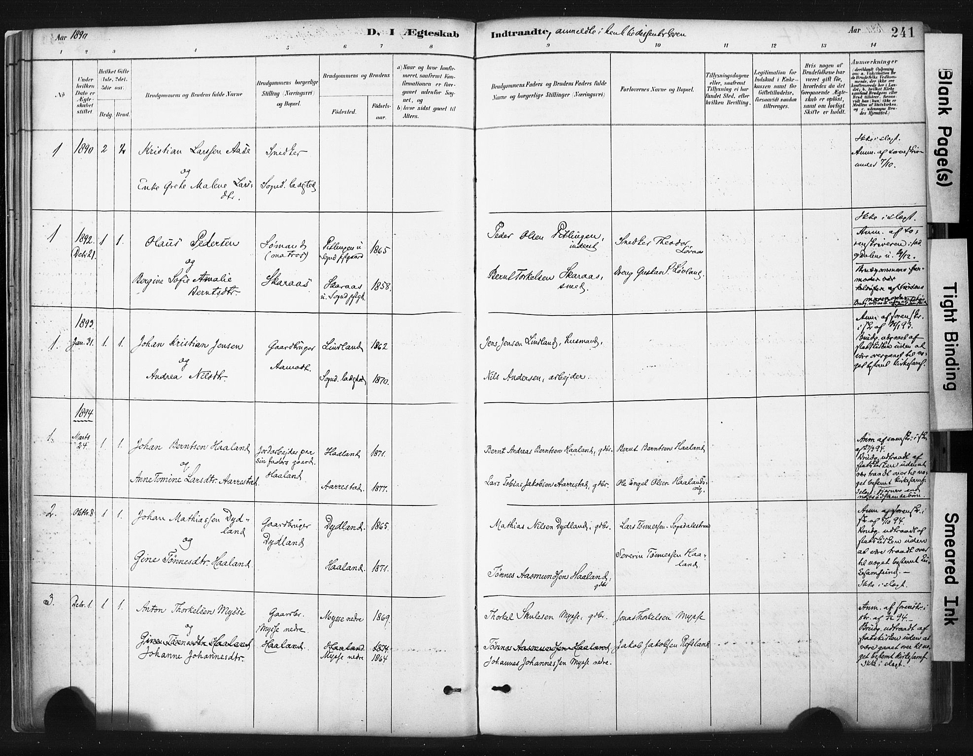 Sokndal sokneprestkontor, SAST/A-101808: Parish register (official) no. A 11.2, 1887-1905, p. 241