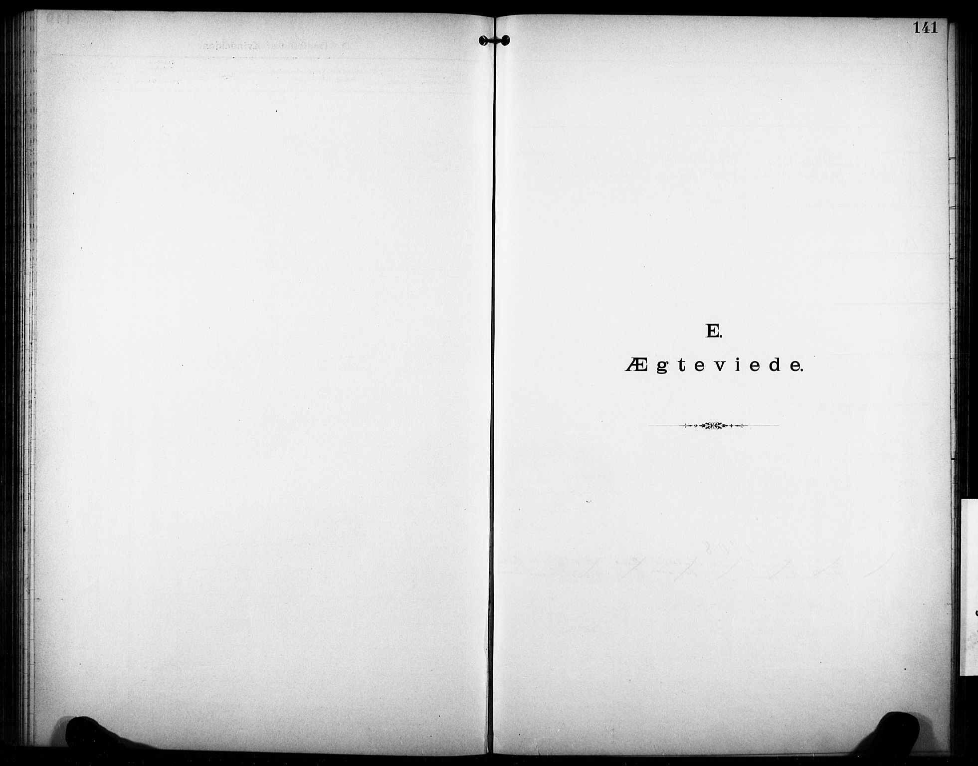 Den katolsk-apostoliske menighet i Larvik, SAKO/P-953/F/Fa/L0001: Dissenter register no. 1, 1892-1933, p. 141