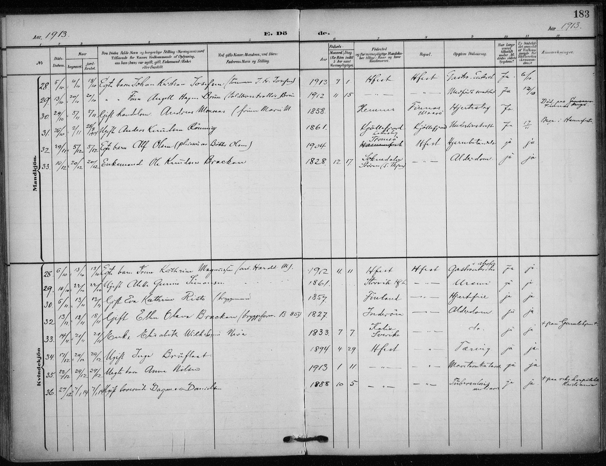 Hammerfest sokneprestkontor, SATØ/S-1347/H/Ha/L0014.kirke: Parish register (official) no. 14, 1906-1916, p. 183