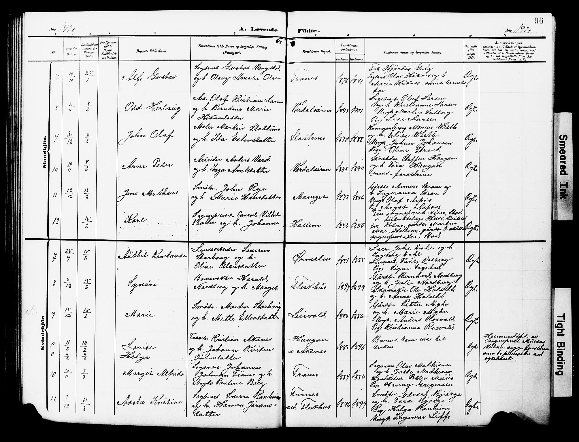 Ministerialprotokoller, klokkerbøker og fødselsregistre - Nord-Trøndelag, AV/SAT-A-1458/723/L0258: Parish register (copy) no. 723C06, 1908-1927, p. 96