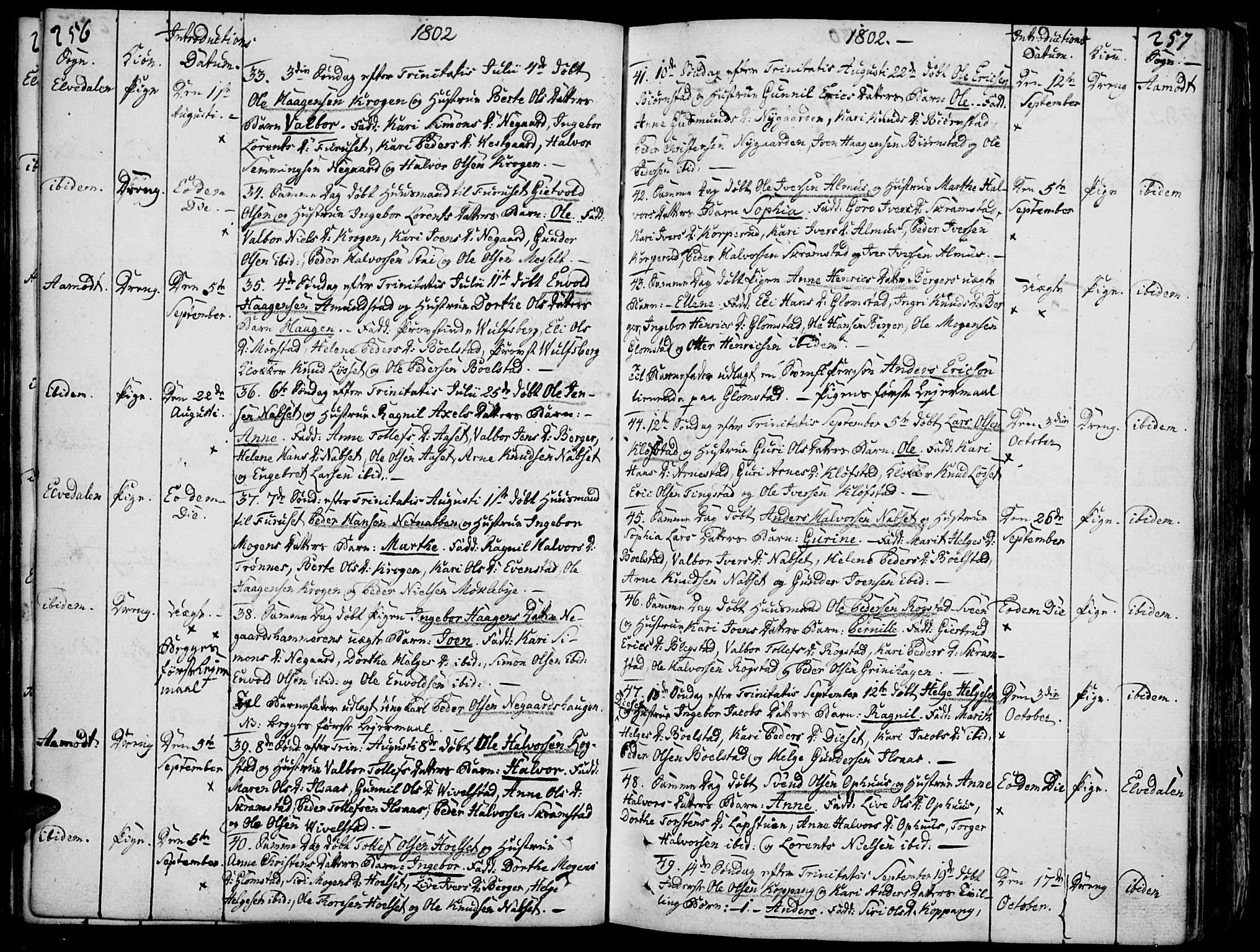 Åmot prestekontor, Hedmark, AV/SAH-PREST-056/H/Ha/Haa/L0003: Parish register (official) no. 3, 1780-1810, p. 256-257