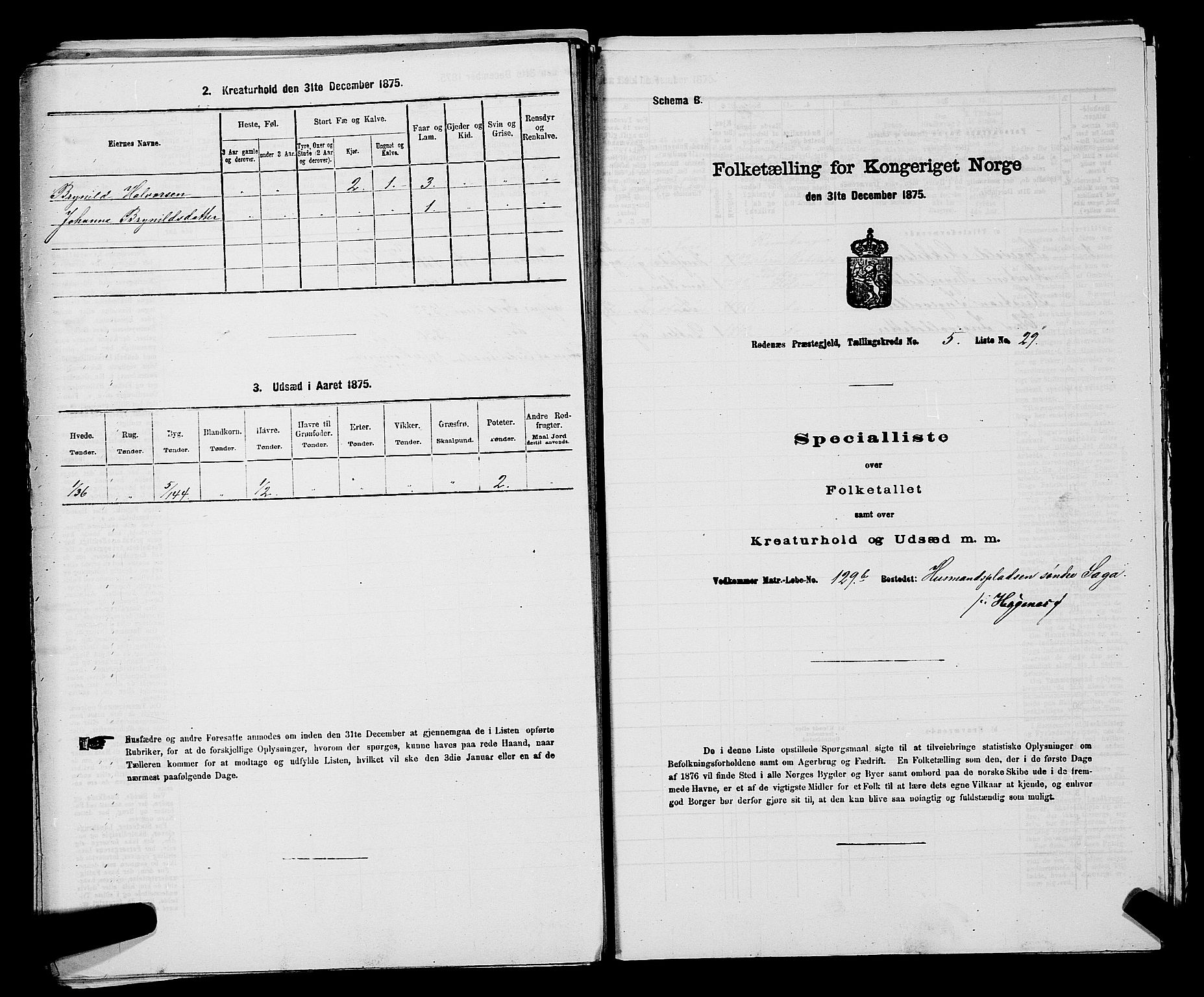 RA, 1875 census for 0120P Rødenes, 1875, p. 765