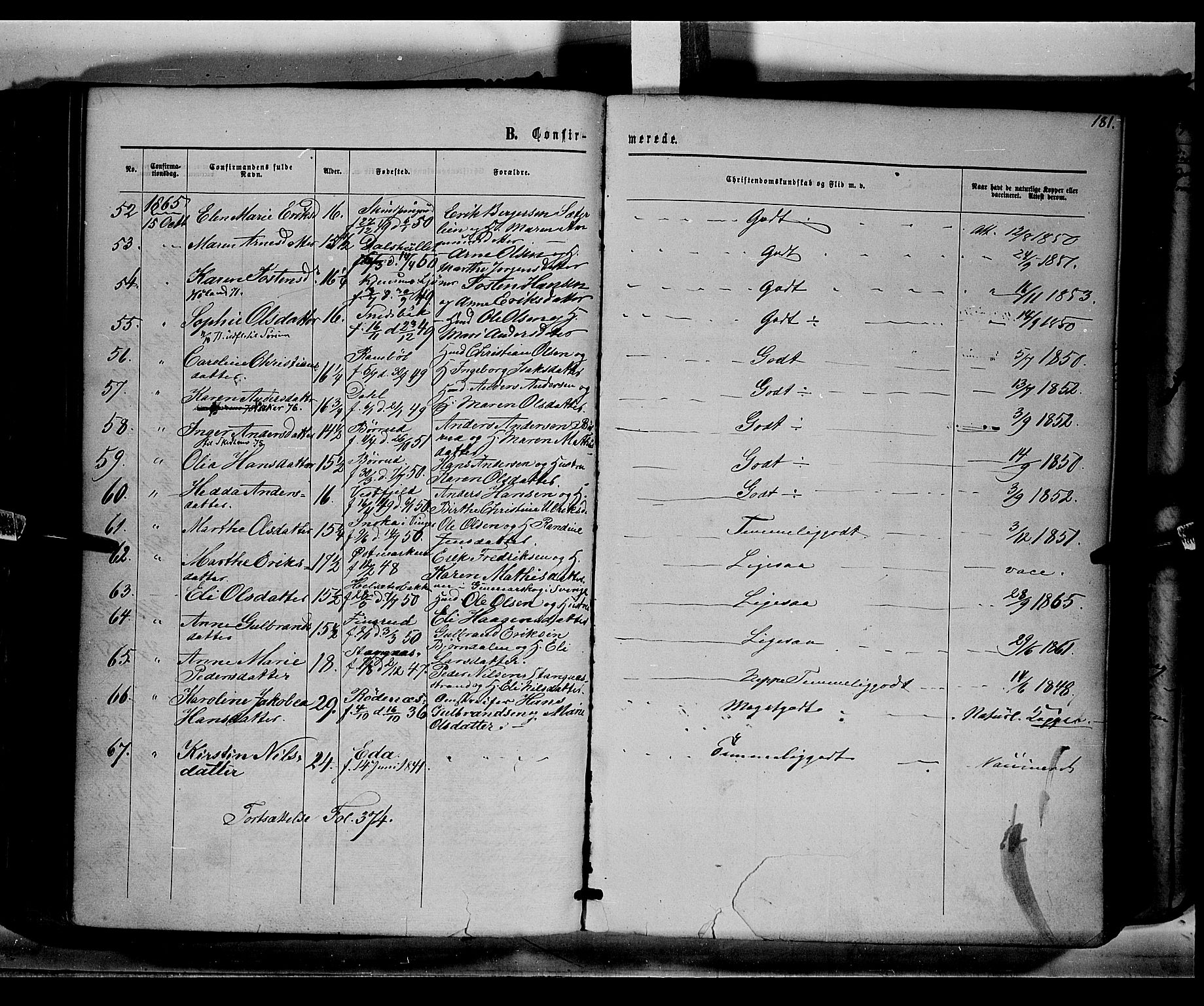 Eidskog prestekontor, AV/SAH-PREST-026/H/Ha/Haa/L0001: Parish register (official) no. 1, 1860-1867, p. 181