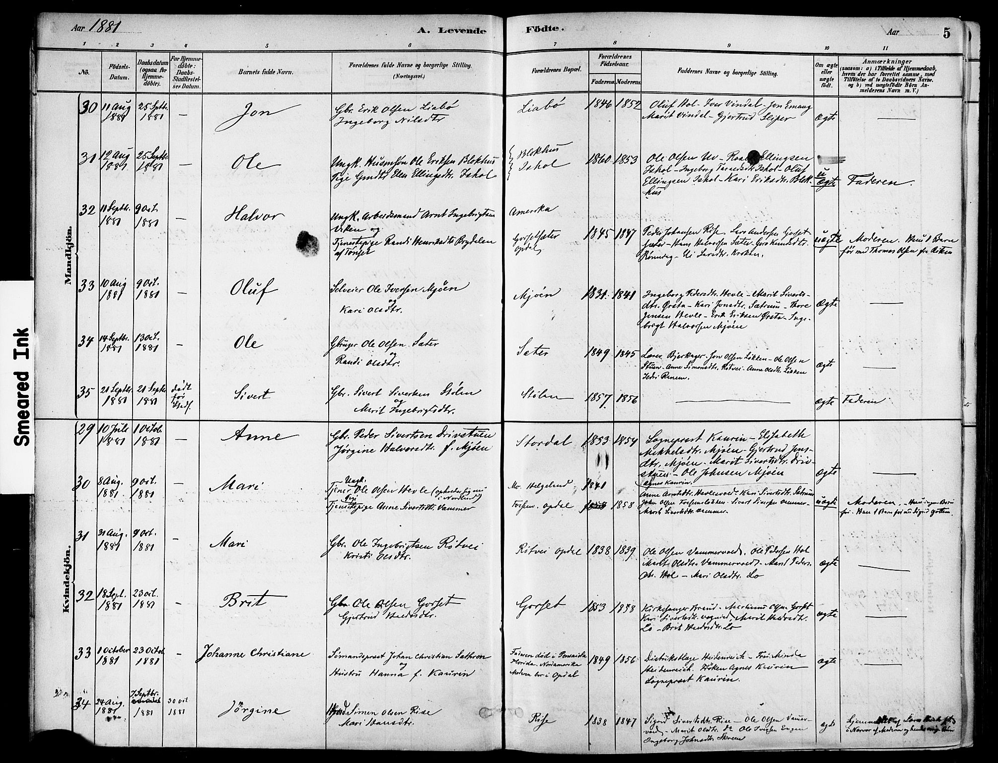 Ministerialprotokoller, klokkerbøker og fødselsregistre - Sør-Trøndelag, AV/SAT-A-1456/678/L0901: Parish register (official) no. 678A10, 1881-1894, p. 5