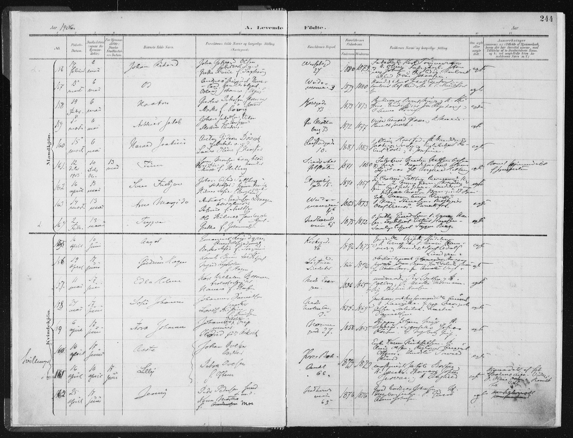 Ministerialprotokoller, klokkerbøker og fødselsregistre - Sør-Trøndelag, AV/SAT-A-1456/604/L0200: Parish register (official) no. 604A20II, 1901-1908, p. 244