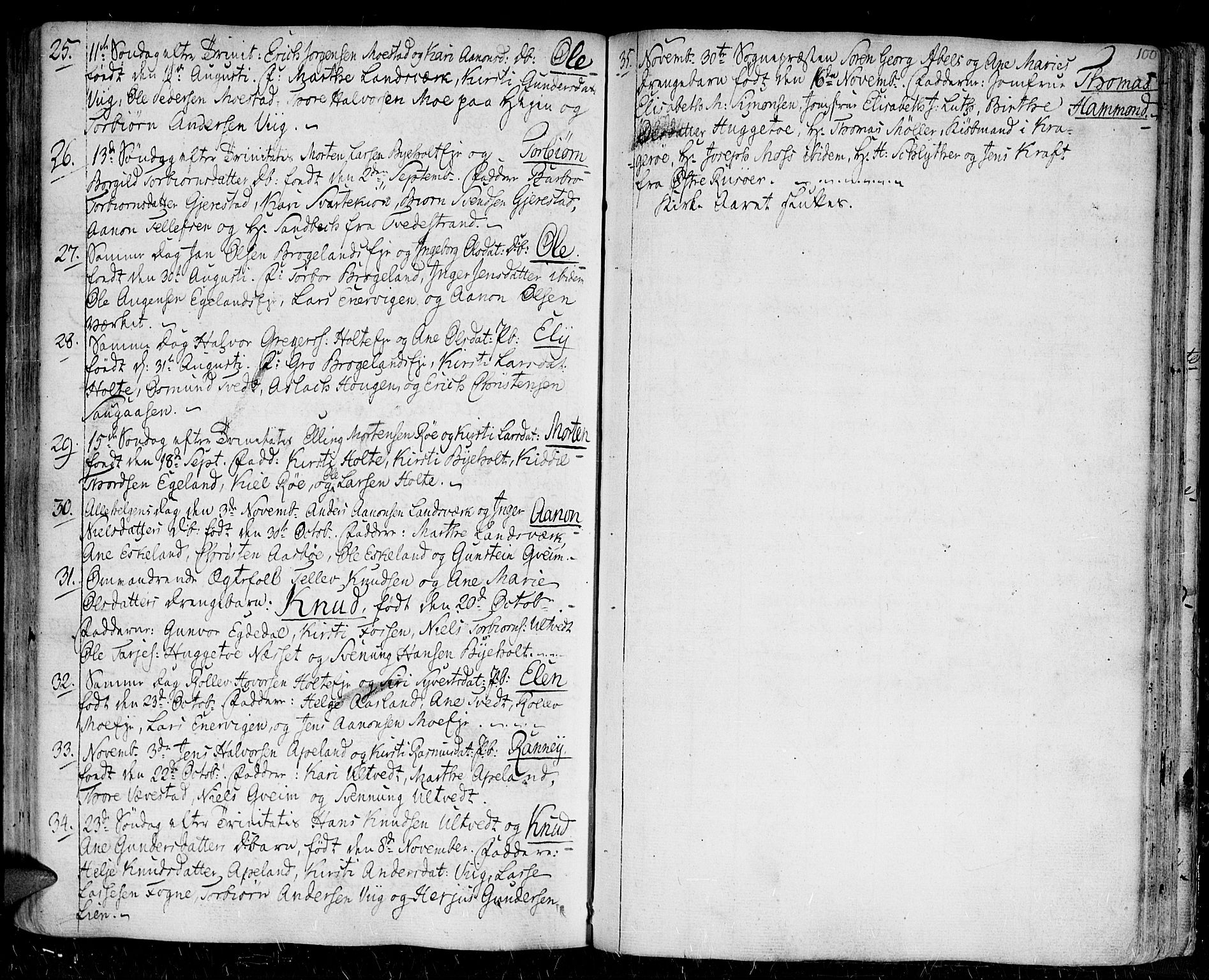 Gjerstad sokneprestkontor, SAK/1111-0014/F/Fa/Faa/L0003: Parish register (official) no. A 3, 1780-1815, p. 100