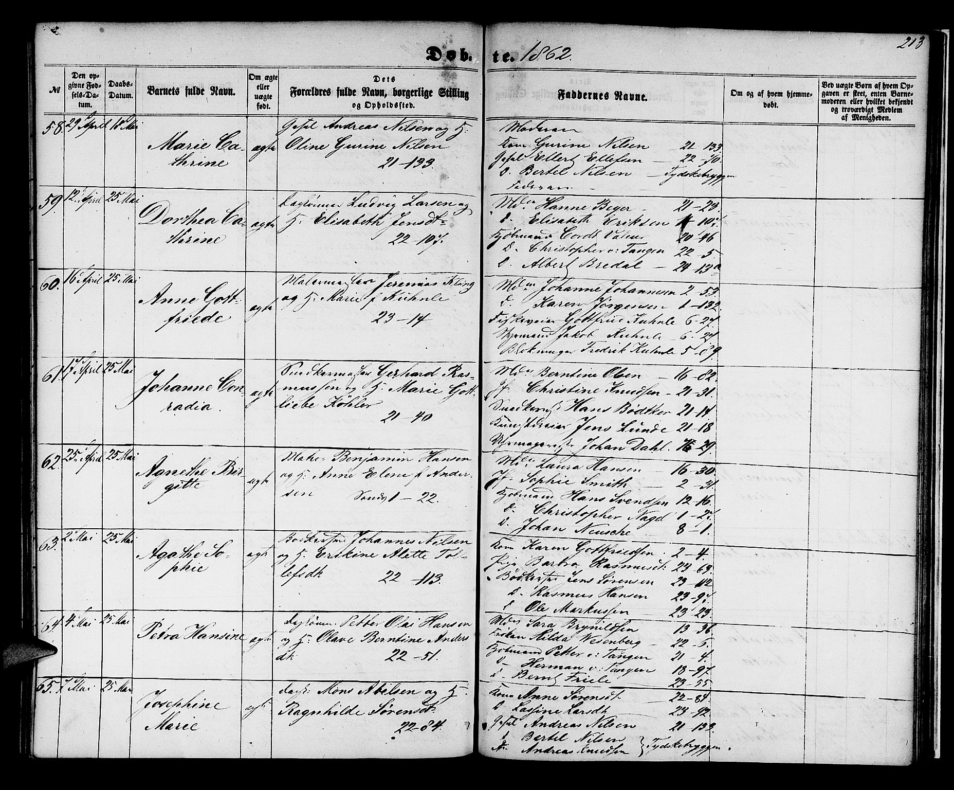 Korskirken sokneprestembete, SAB/A-76101/H/Hab: Parish register (copy) no. B 4, 1858-1863, p. 213
