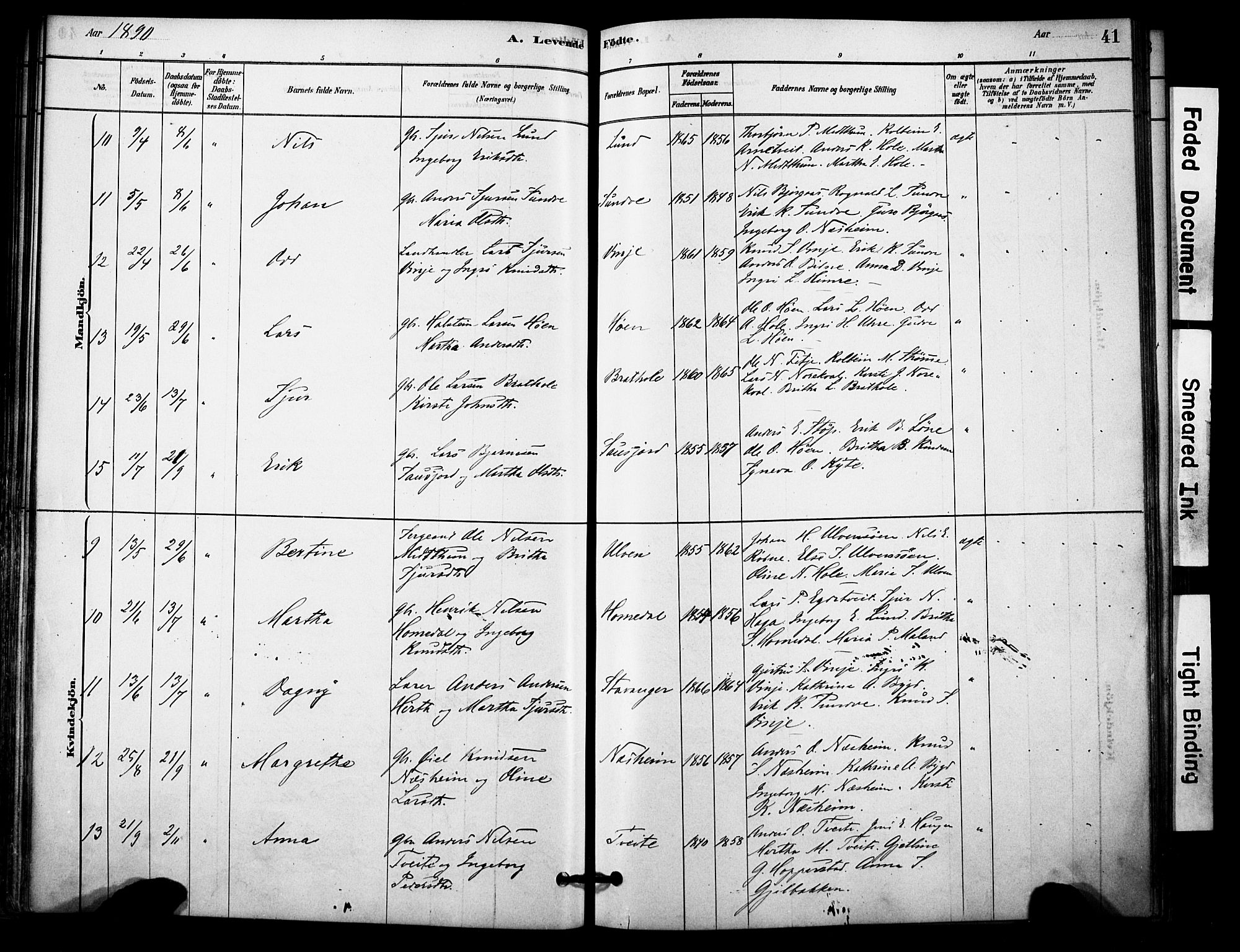 Vossestrand Sokneprestembete, AV/SAB-A-79101/H/Haa: Parish register (official) no. C 1, 1878-1903, p. 41