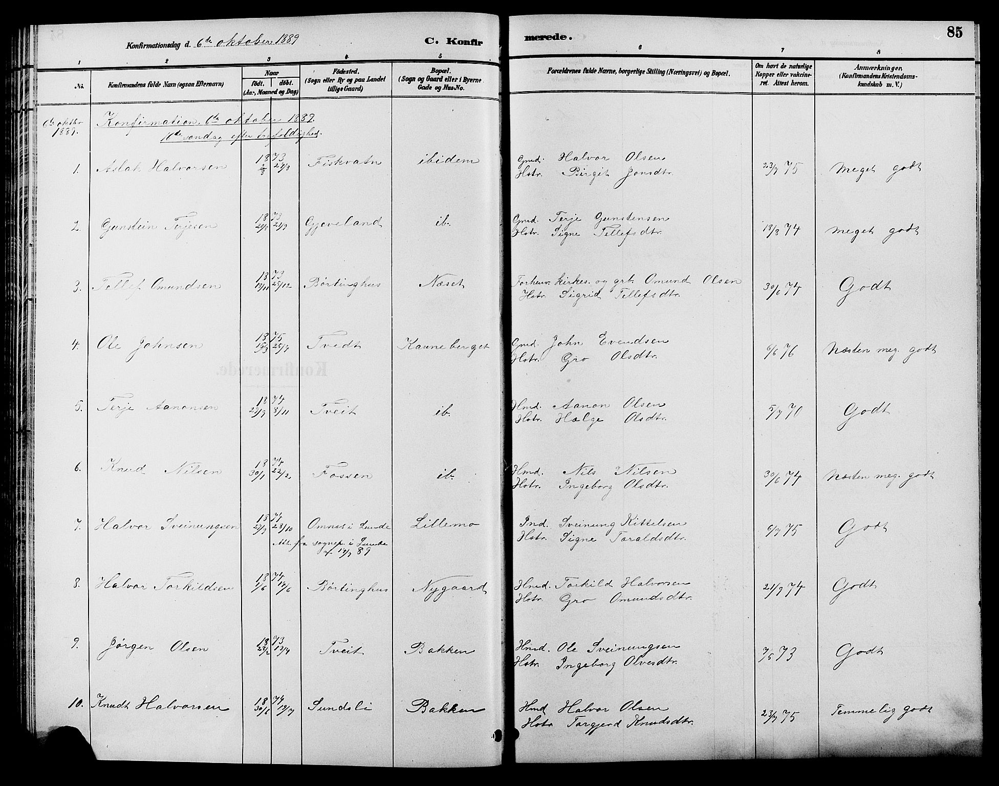 Åmli sokneprestkontor, AV/SAK-1111-0050/F/Fb/Fbc/L0004: Parish register (copy) no. B 4, 1889-1902, p. 85