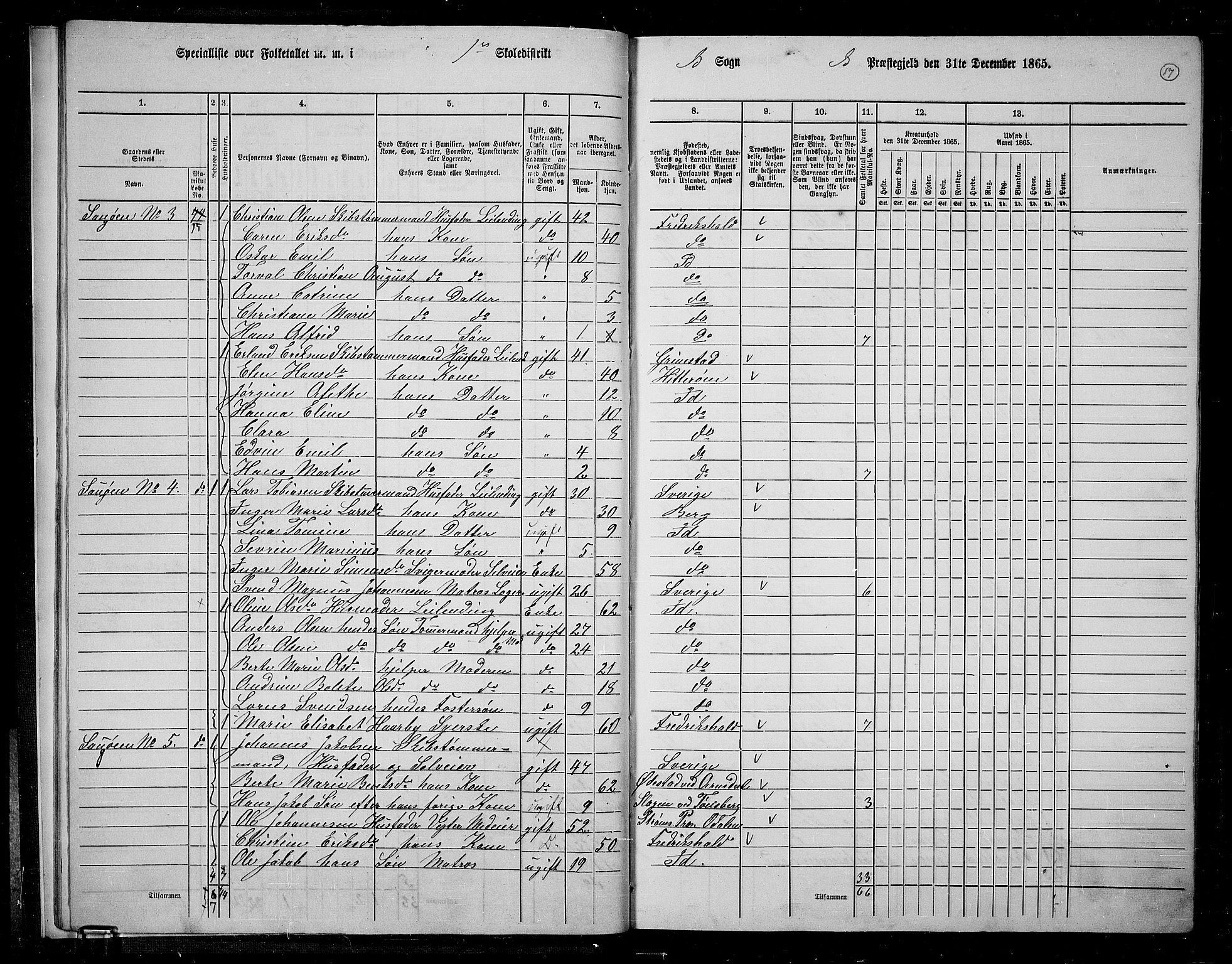 RA, 1865 census for Idd, 1865, p. 15