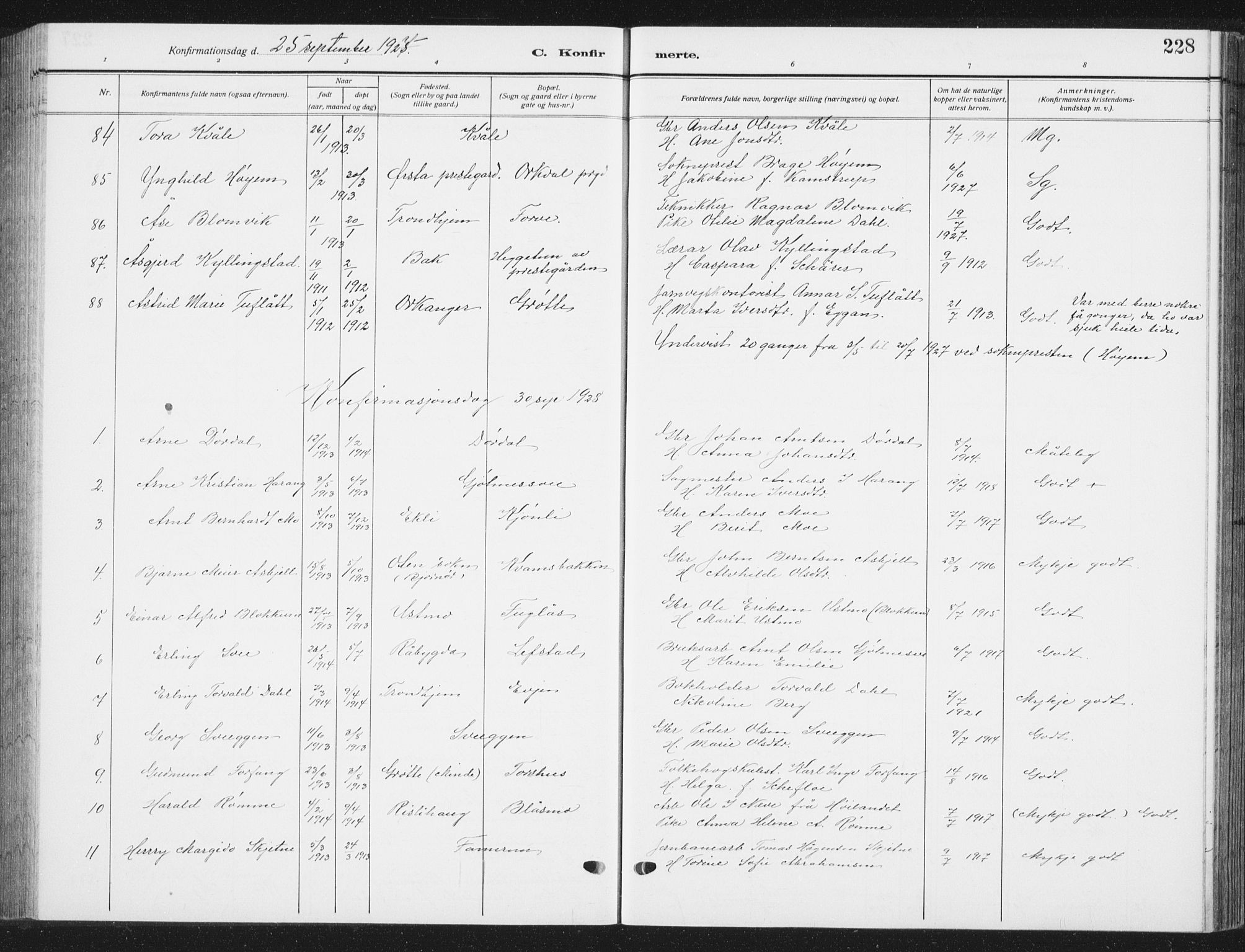 Ministerialprotokoller, klokkerbøker og fødselsregistre - Sør-Trøndelag, SAT/A-1456/668/L0820: Parish register (copy) no. 668C09, 1912-1936, p. 228