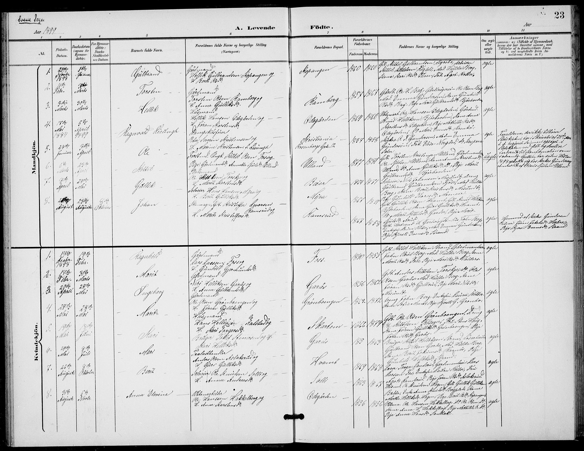 Flesberg kirkebøker, AV/SAKO-A-18/G/Ga/L0005: Parish register (copy) no. I 5, 1899-1908, p. 23