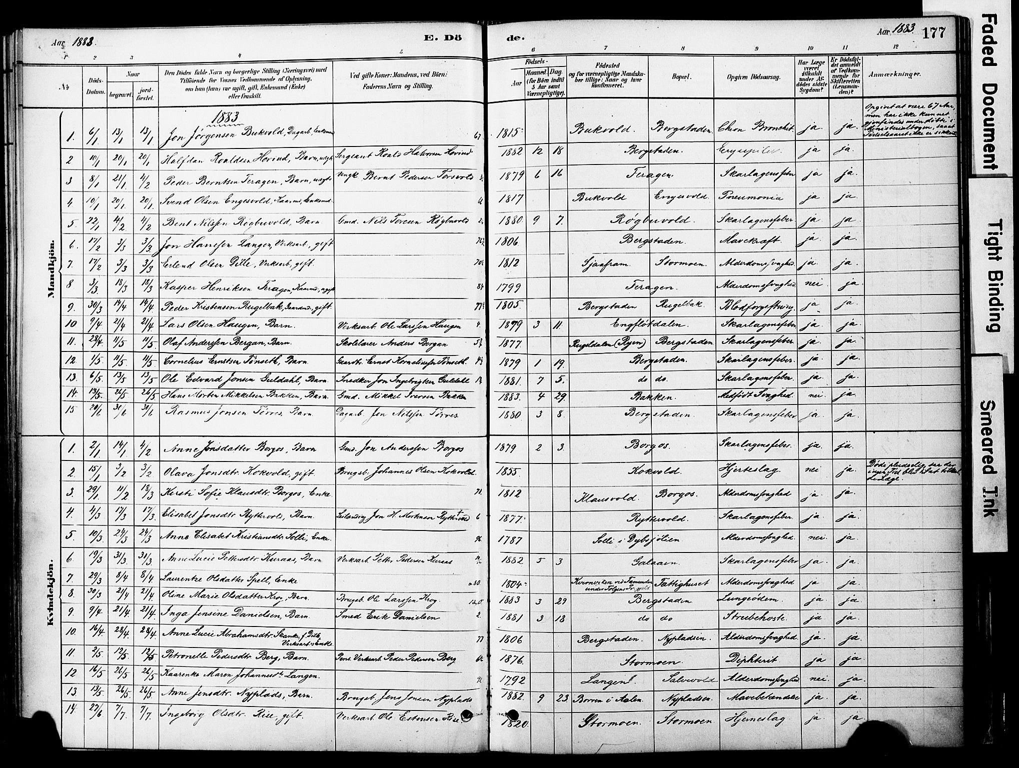 Ministerialprotokoller, klokkerbøker og fødselsregistre - Sør-Trøndelag, SAT/A-1456/681/L0933: Parish register (official) no. 681A11, 1879-1890, p. 177
