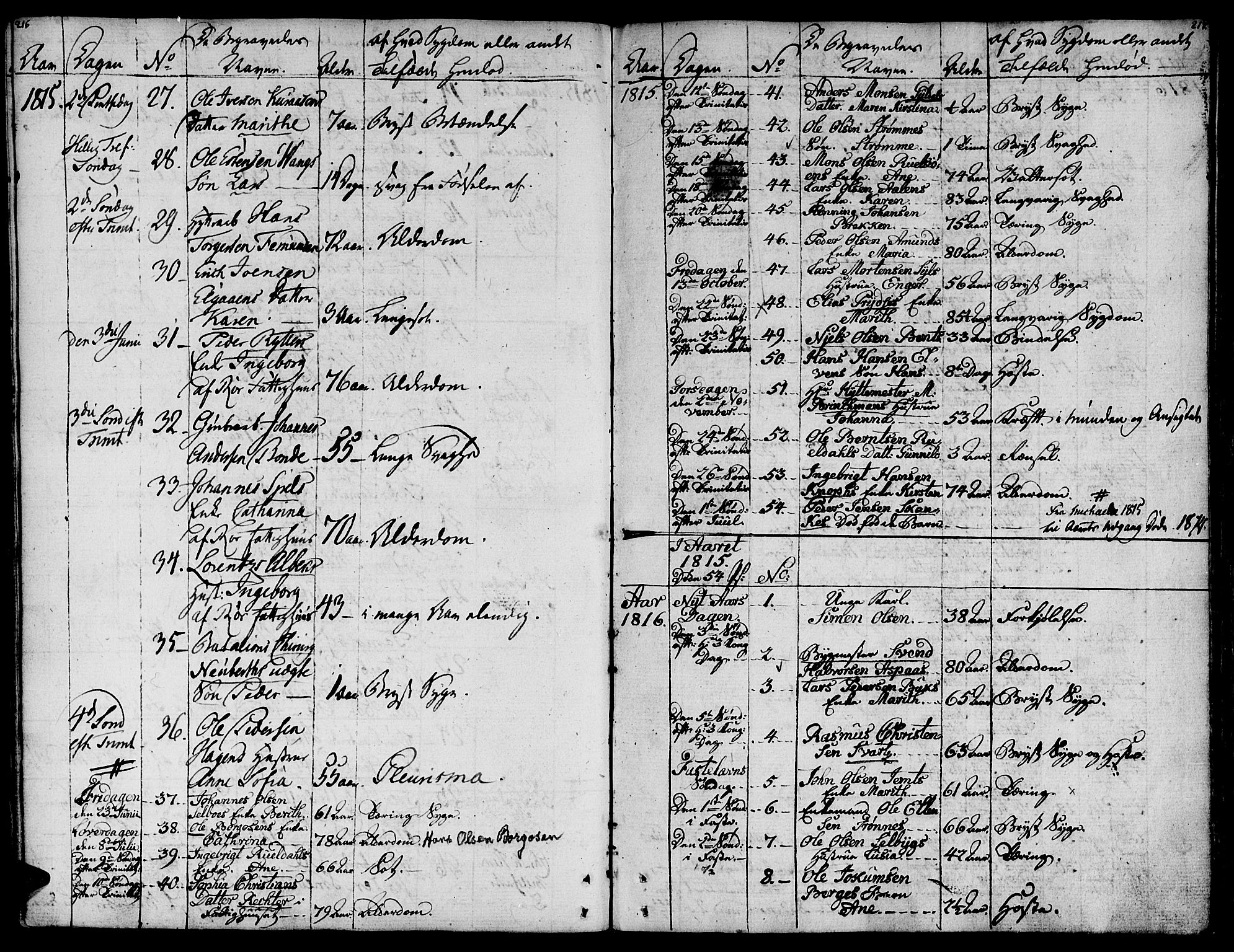 Ministerialprotokoller, klokkerbøker og fødselsregistre - Sør-Trøndelag, SAT/A-1456/681/L0928: Parish register (official) no. 681A06, 1806-1816, p. 216-217