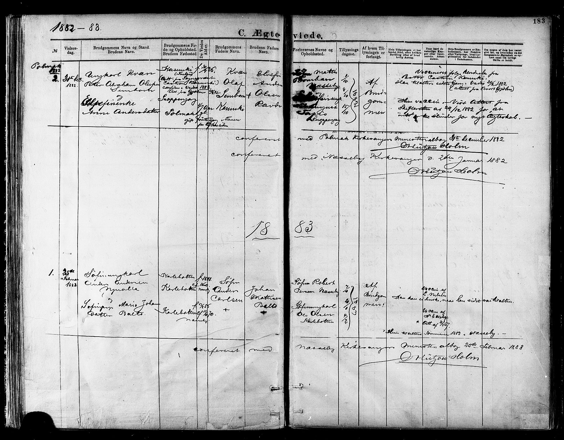 Nesseby sokneprestkontor, AV/SATØ-S-1330/H/Ha/L0004kirke: Parish register (official) no. 4, 1877-1884, p. 183